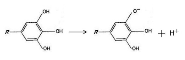 Coatings 11 00246 i001