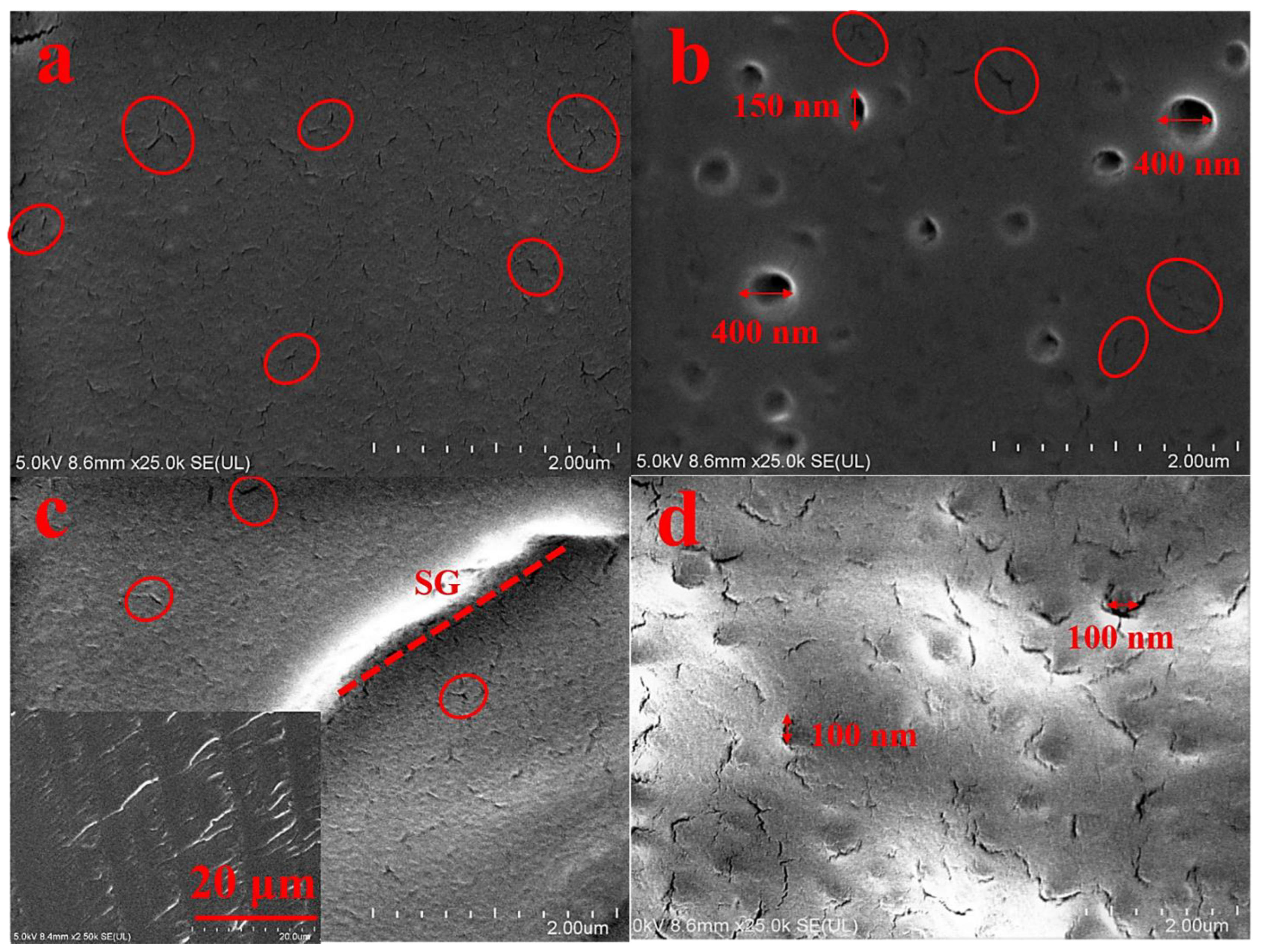 Coatings 11 00251 g007