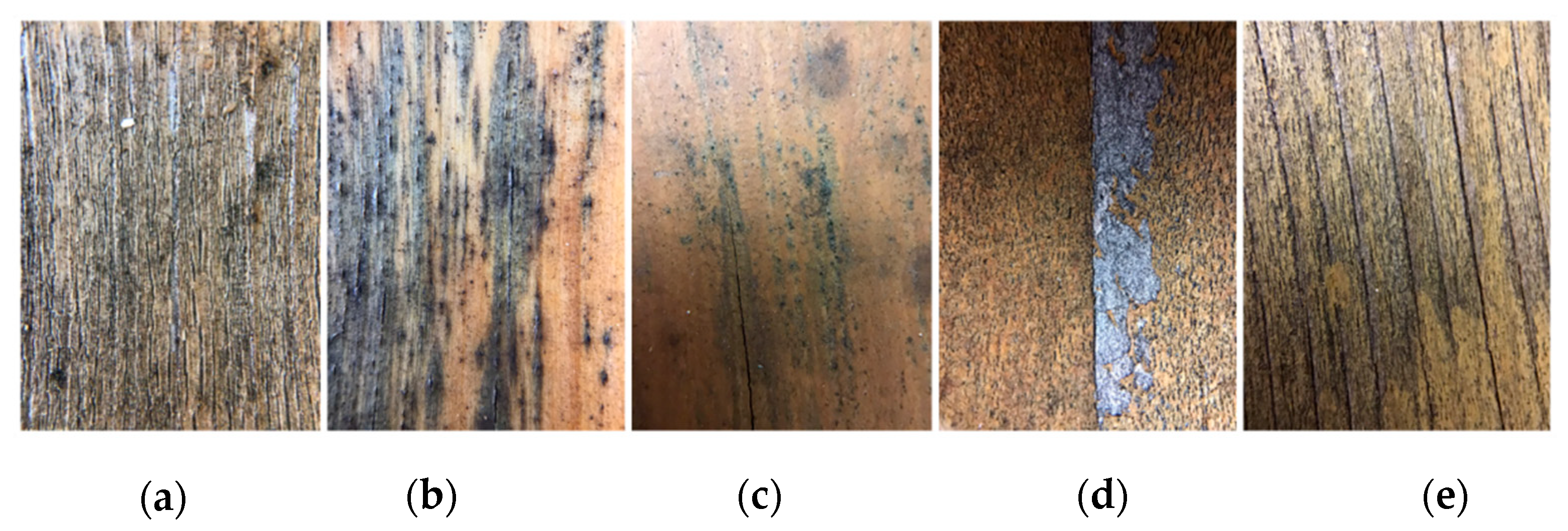 Coatings 11 00252 g001 Coatings 11 00252 g001