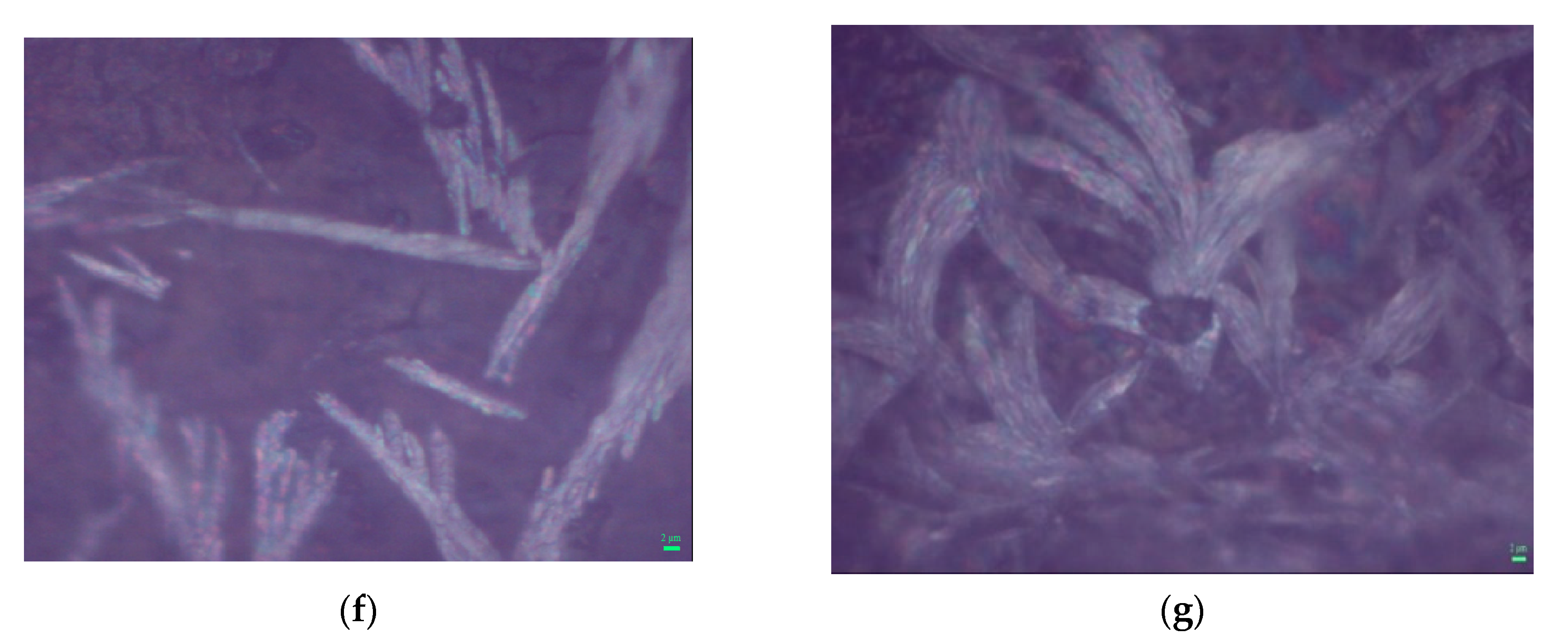 Coatings 11 00258 g001b