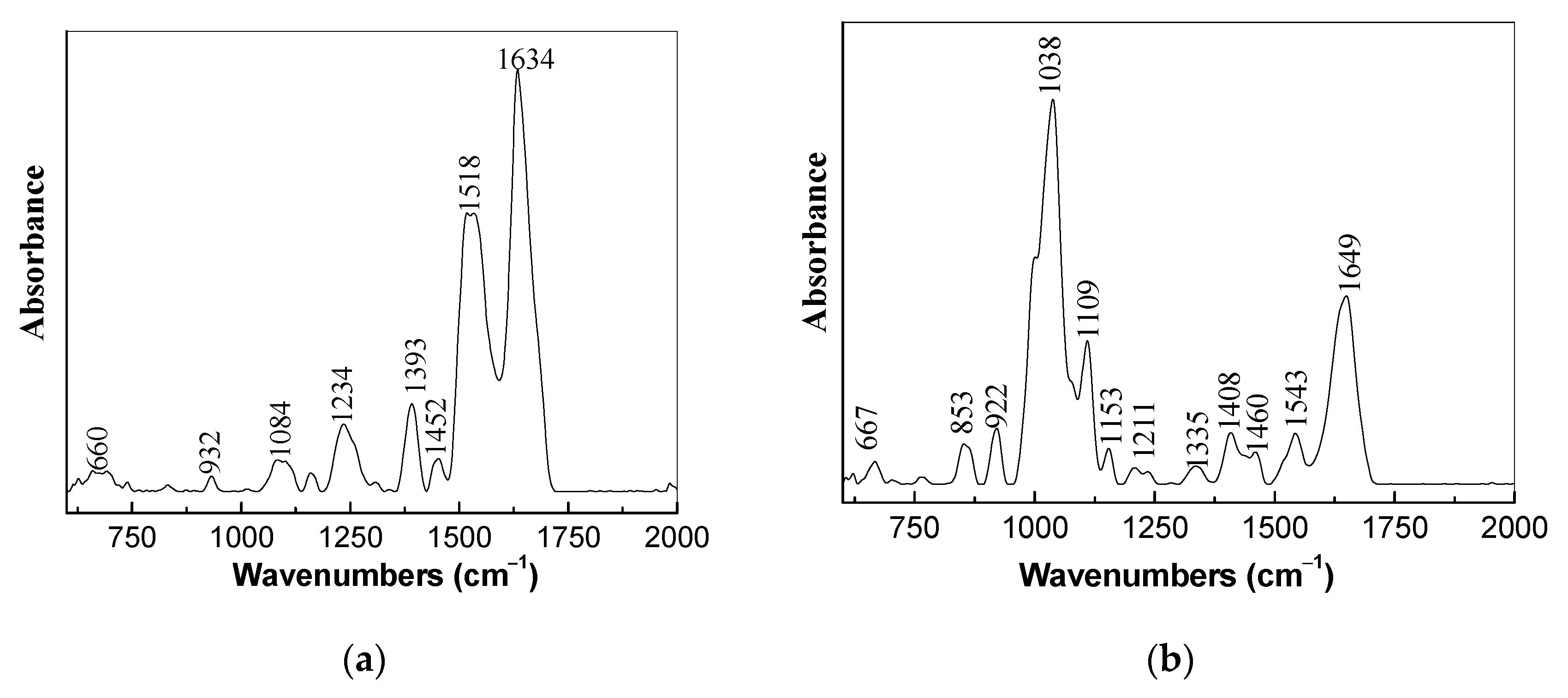 Coatings 11 00258 g005