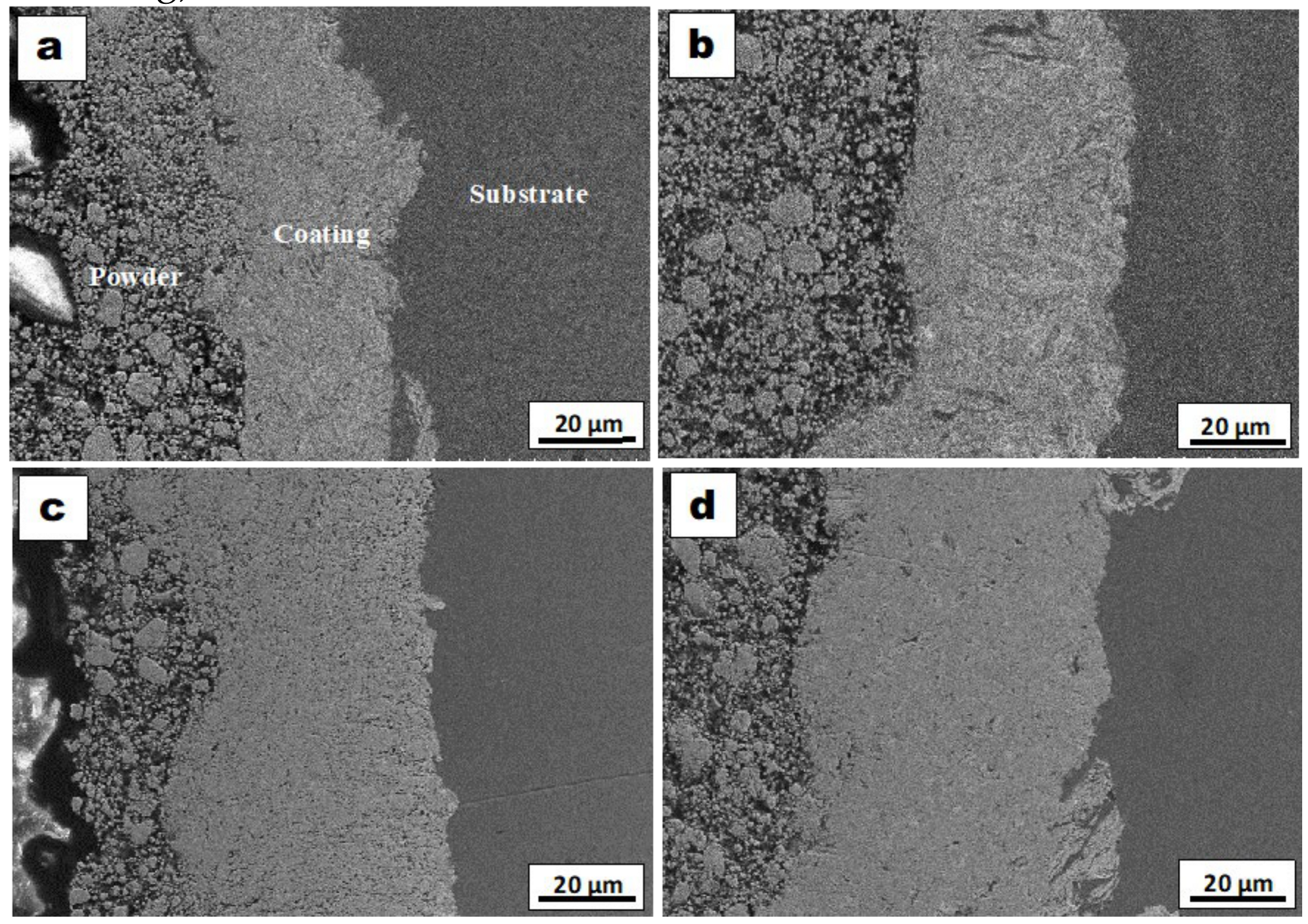 Coatings 11 00265 g003