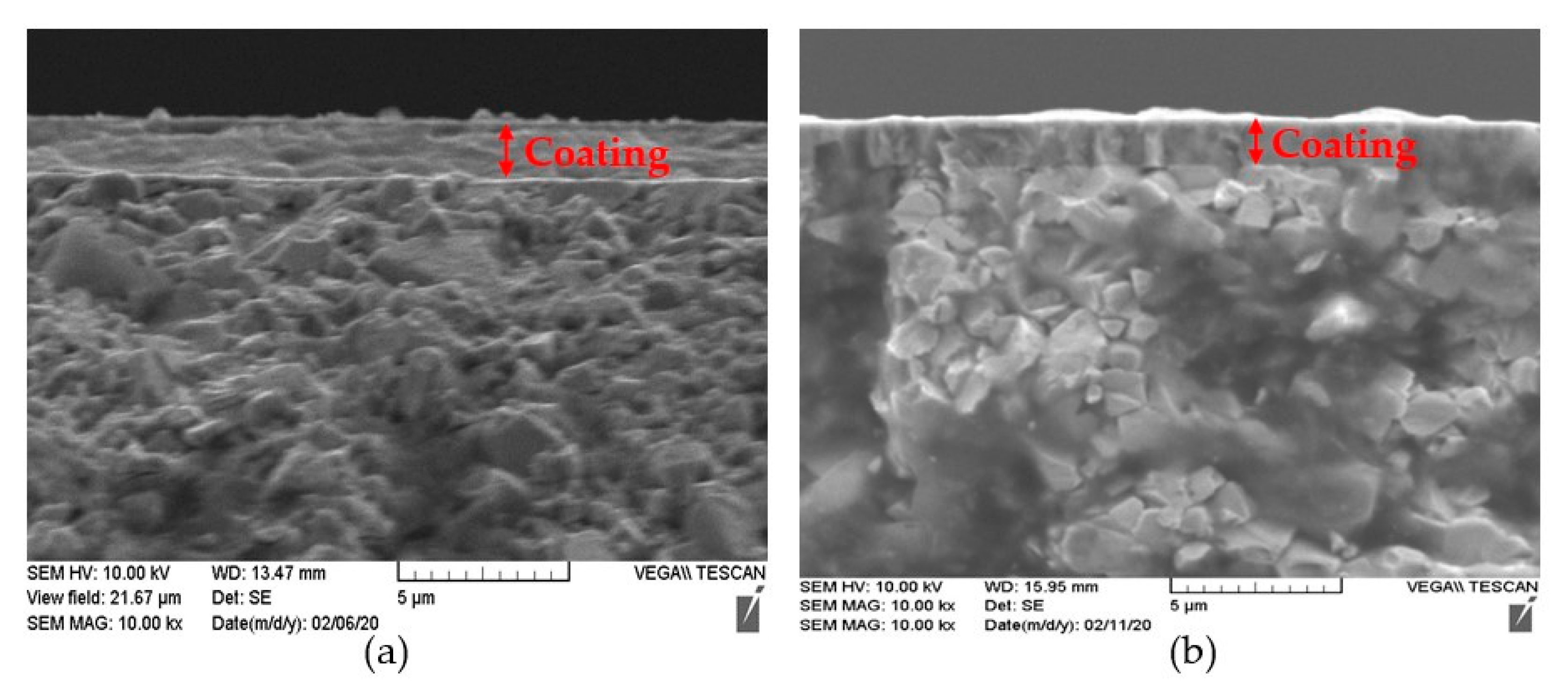 Coatings 11 00266 g008 Coatings 11 00266 g008