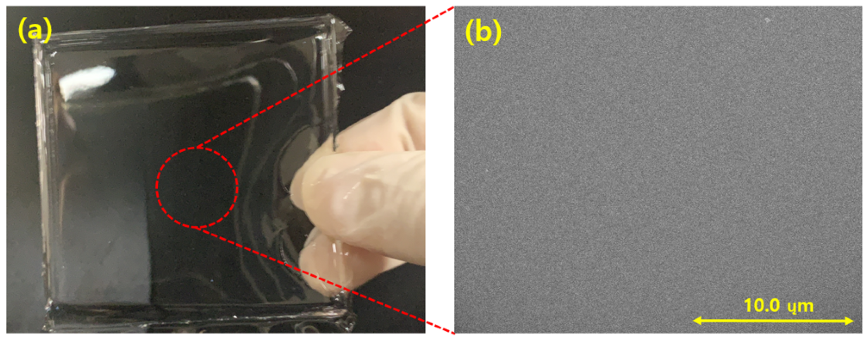 Coatings 11 00277 g007