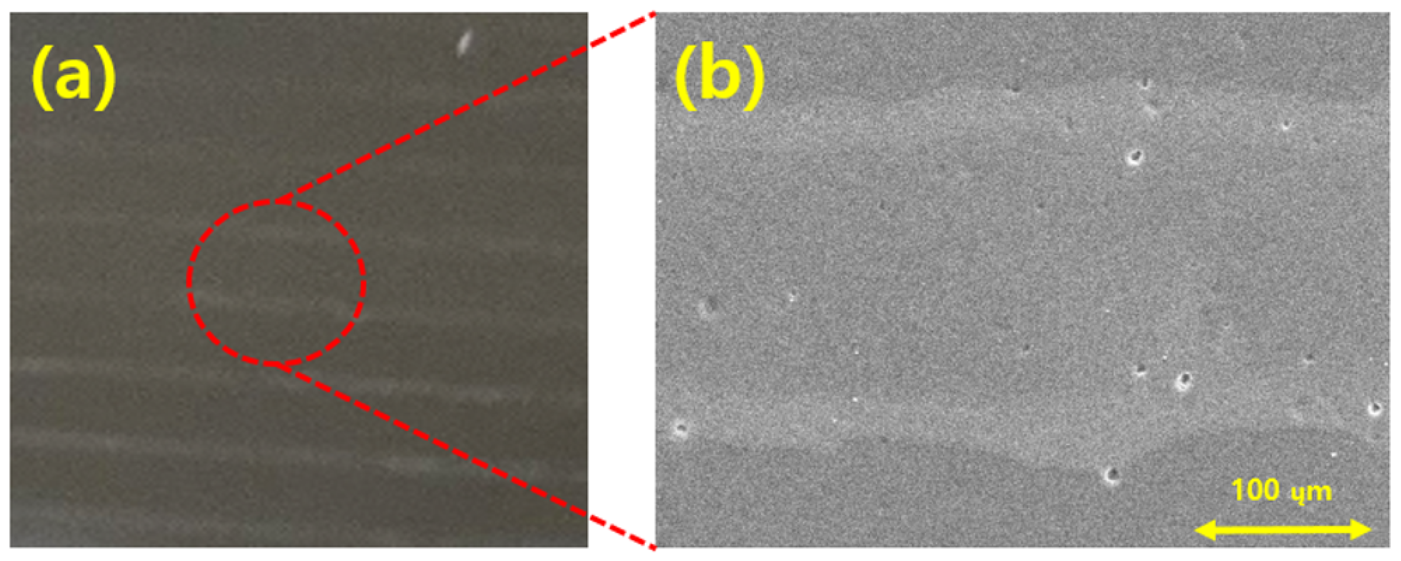 Coatings 11 00277 g013