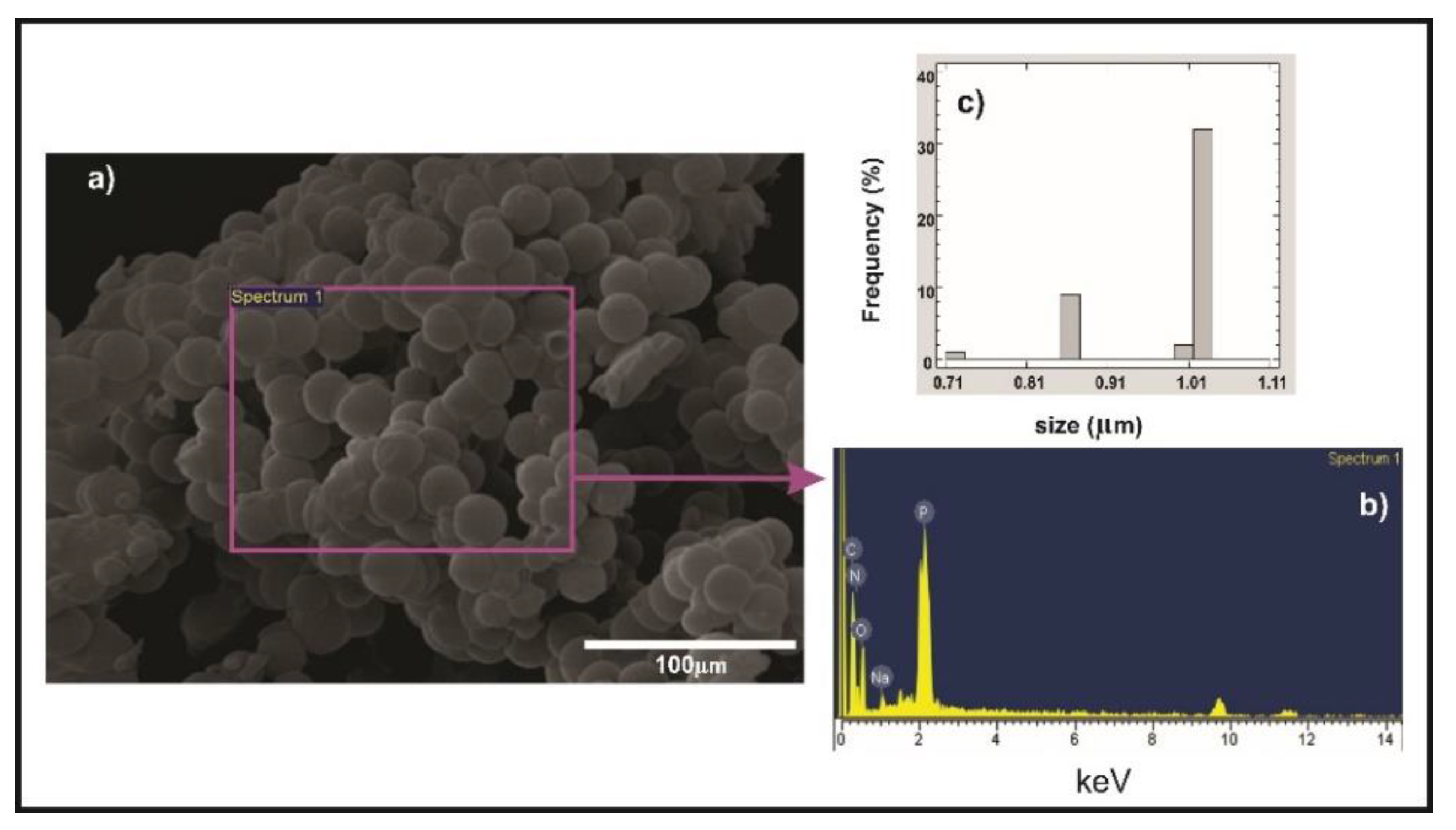 Coatings 11 00280 g002