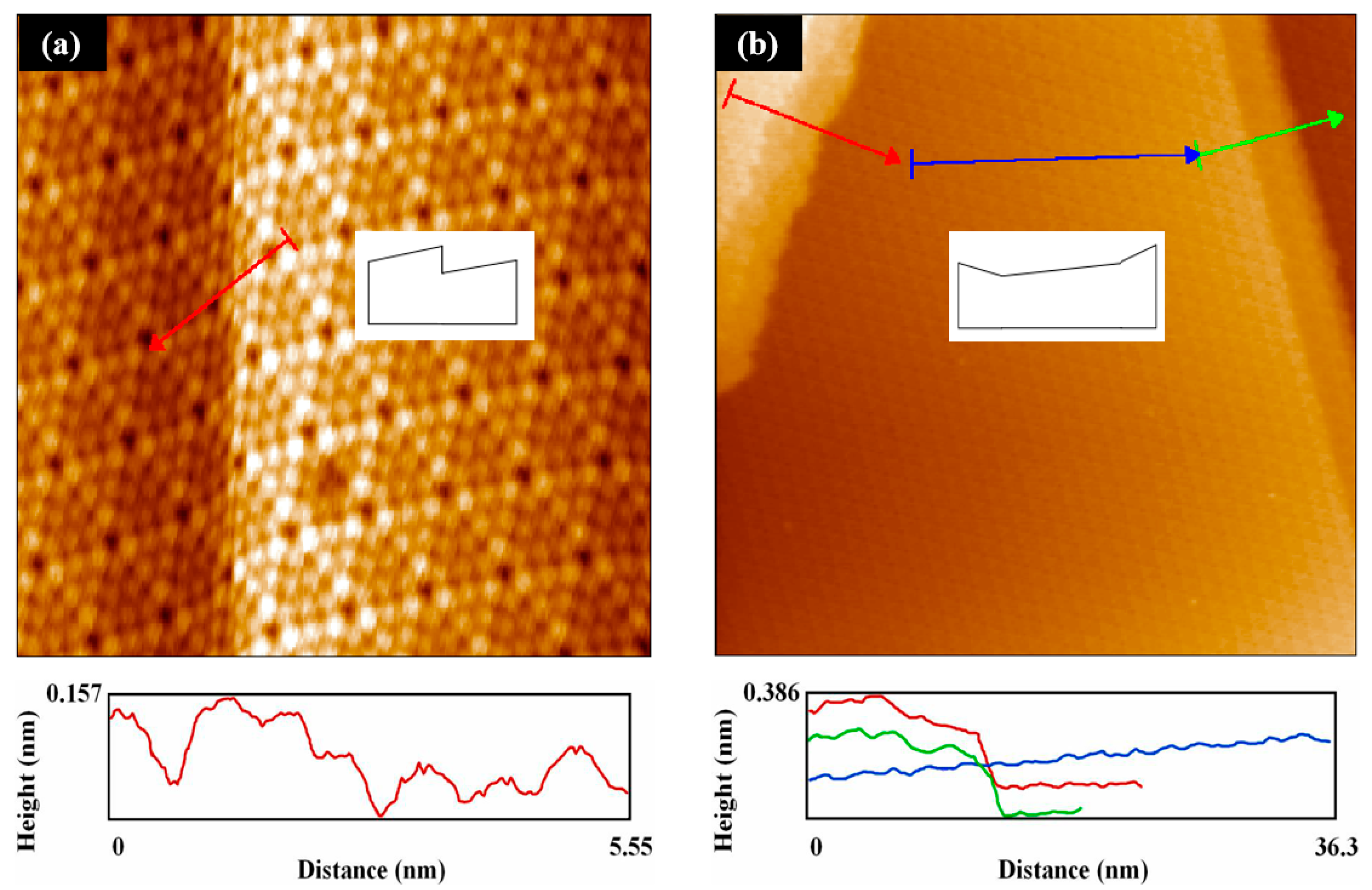 Coatings 11 00281 g002