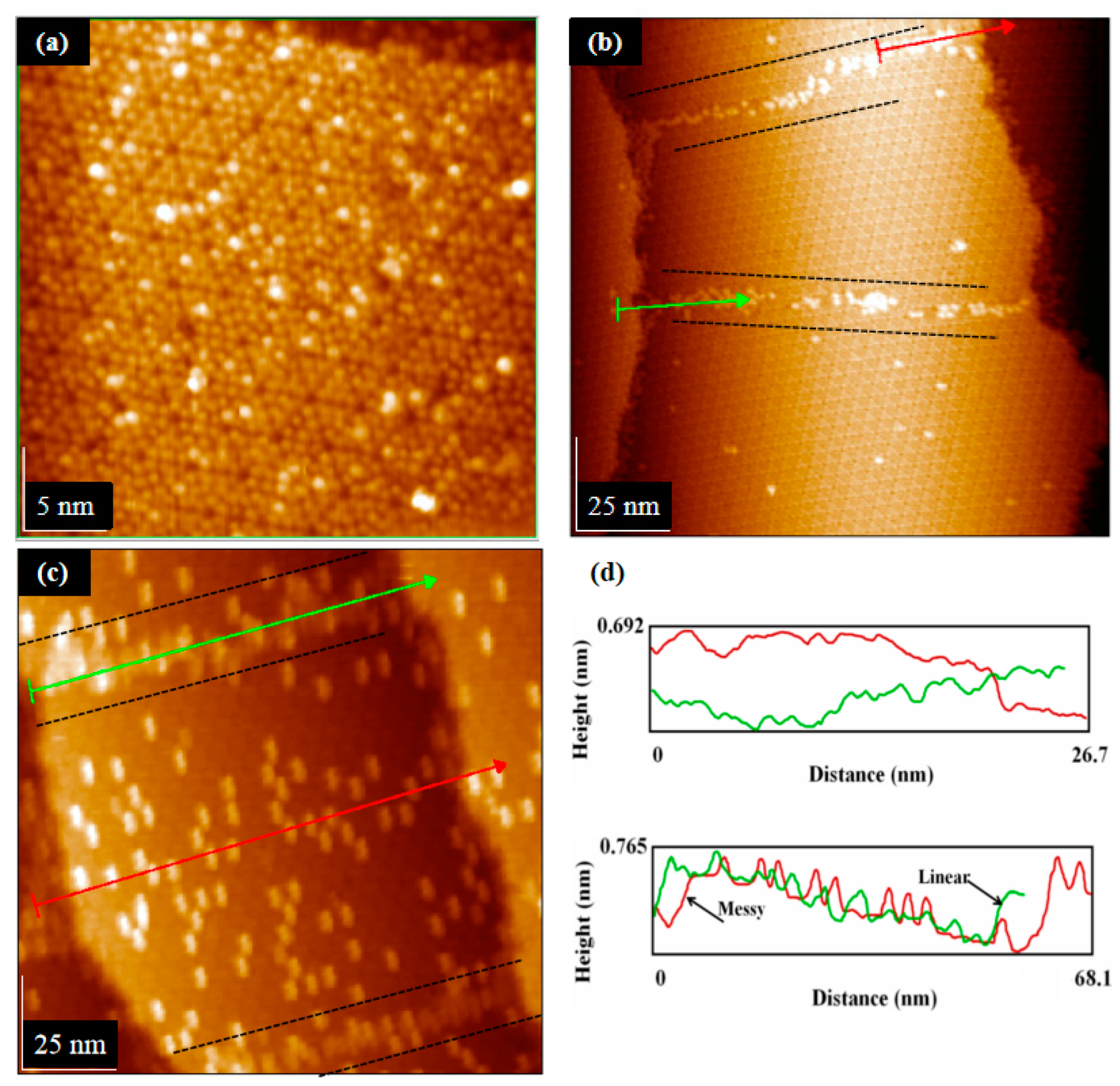 Coatings 11 00281 g004