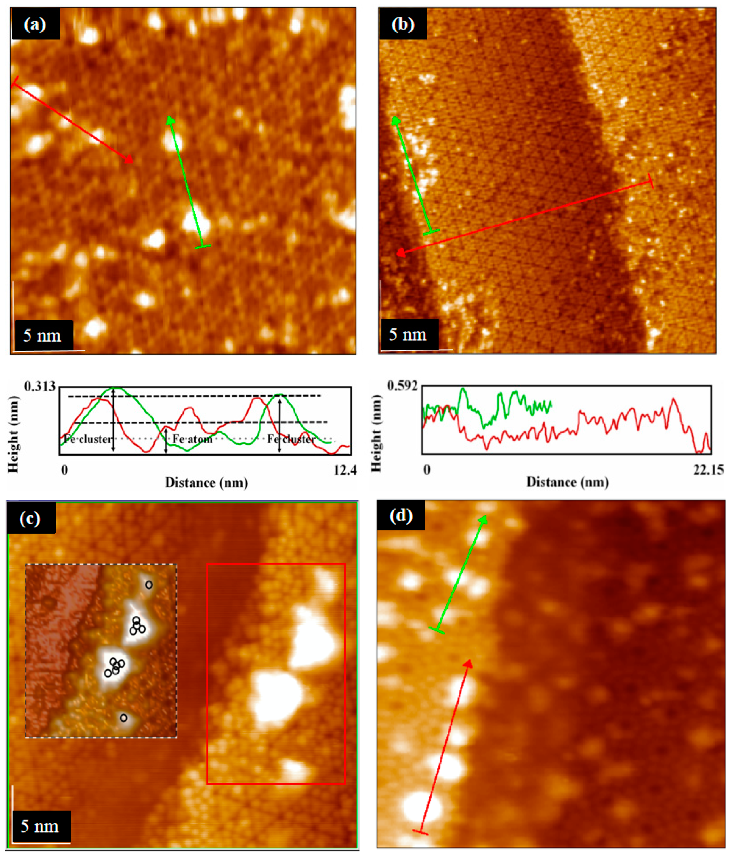 Coatings 11 00281 g005