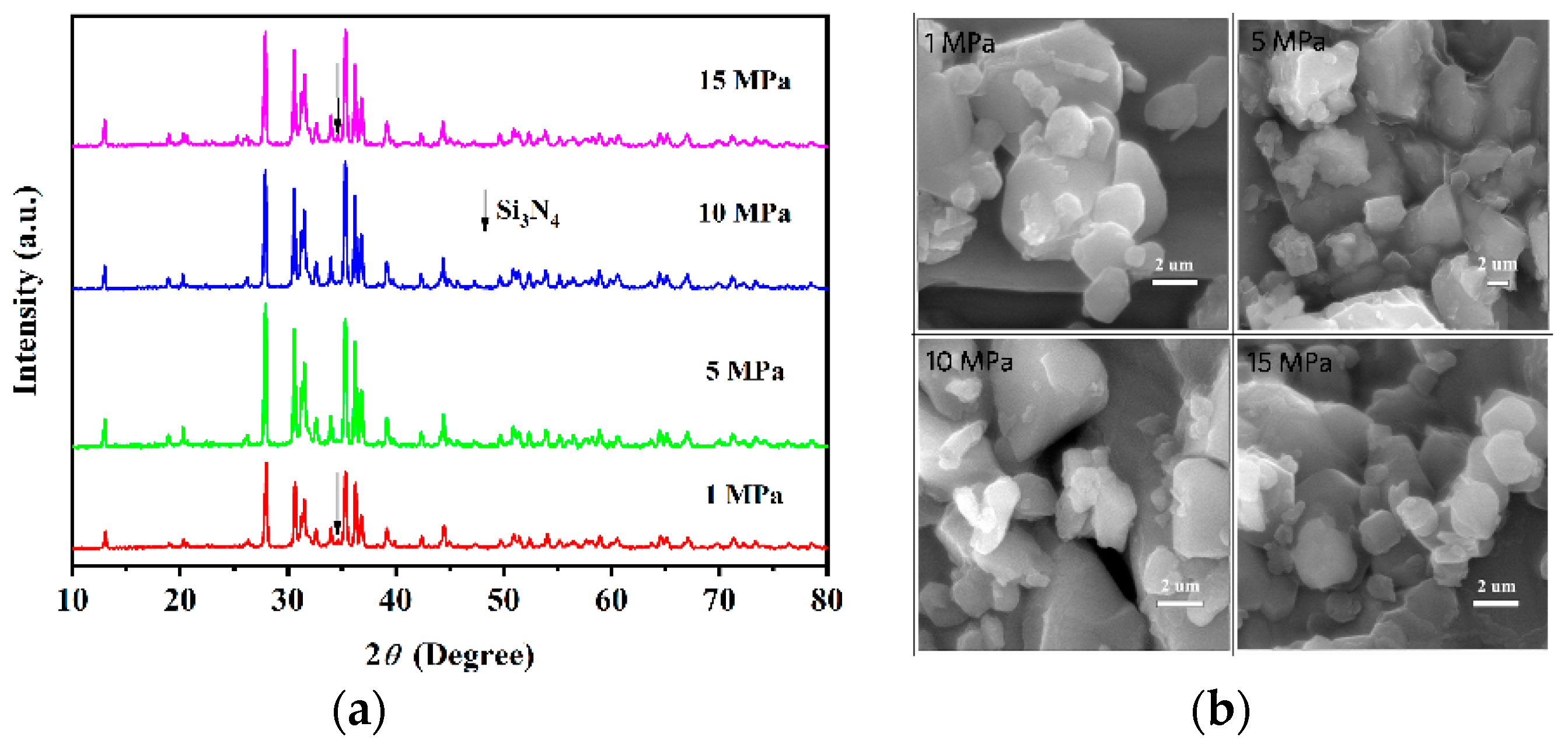Coatings 11 00283 g004