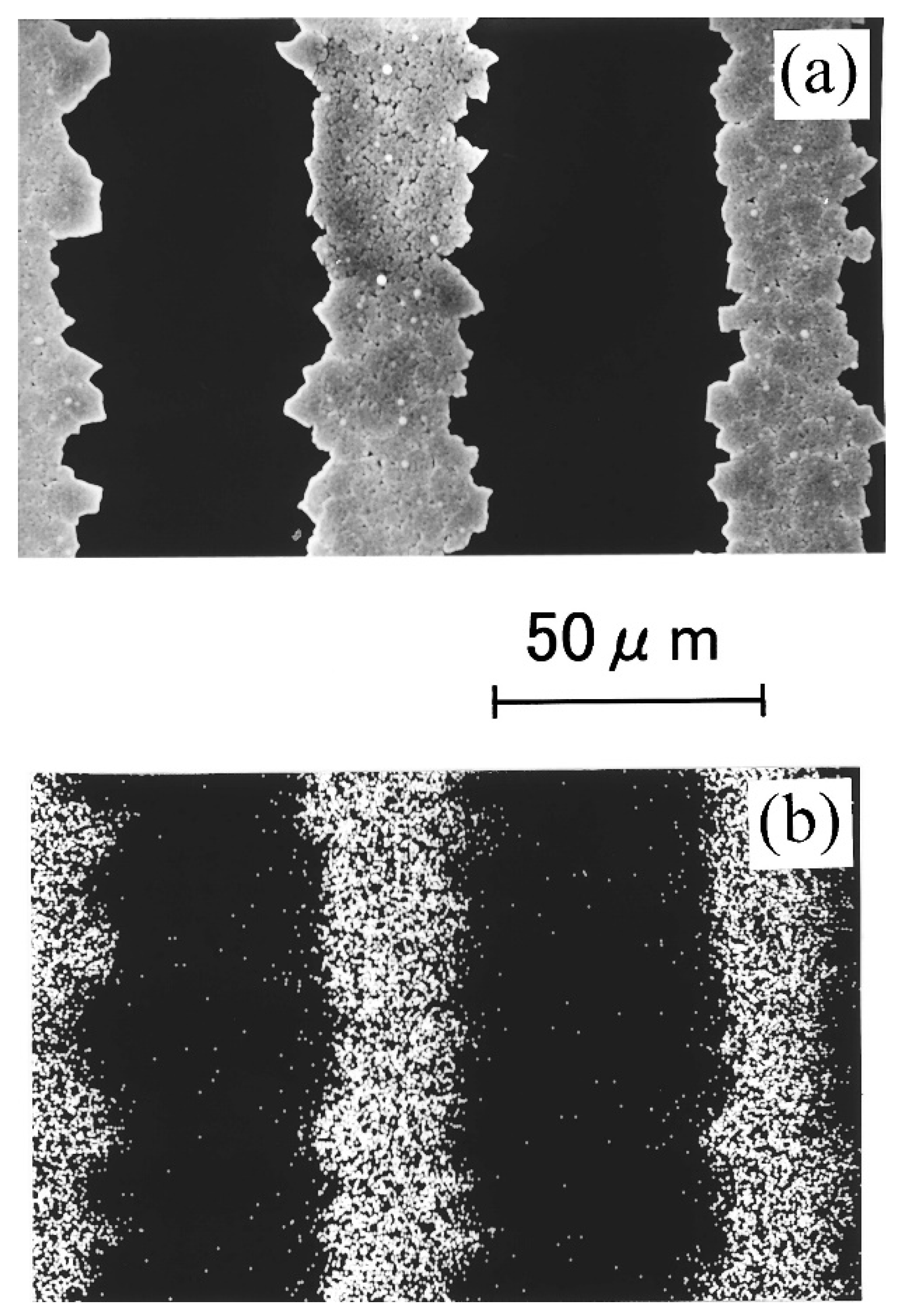 Coatings 11 00284 g004 Coatings 11 00284 g004
