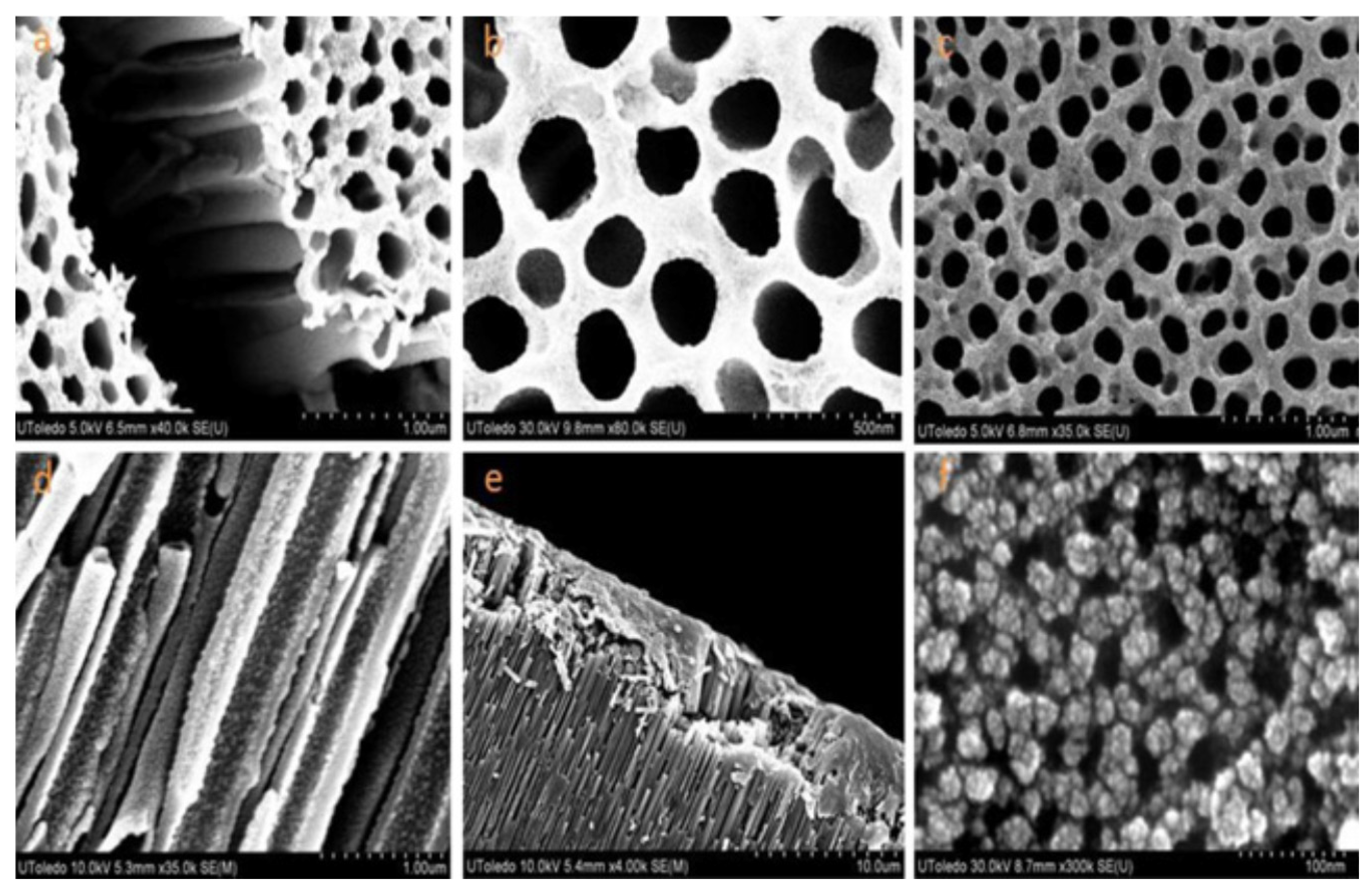 Coatings 11 00284 g005 Coatings 11 00284 g005