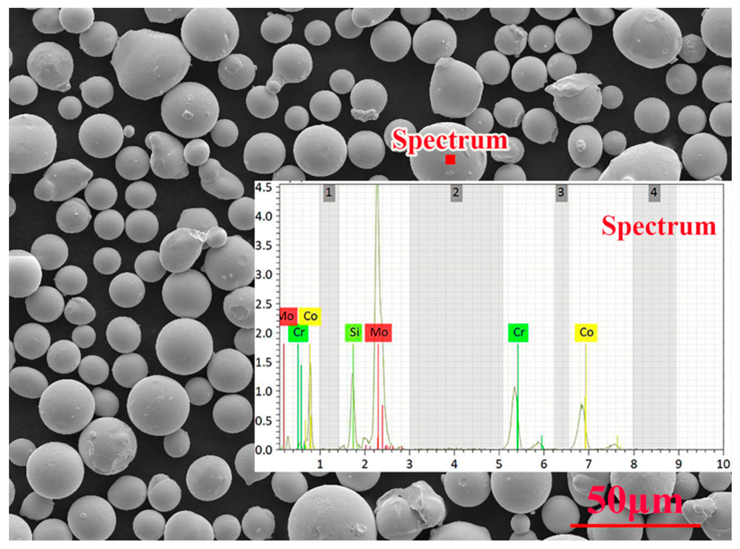 Coatings 11 00290 g001
