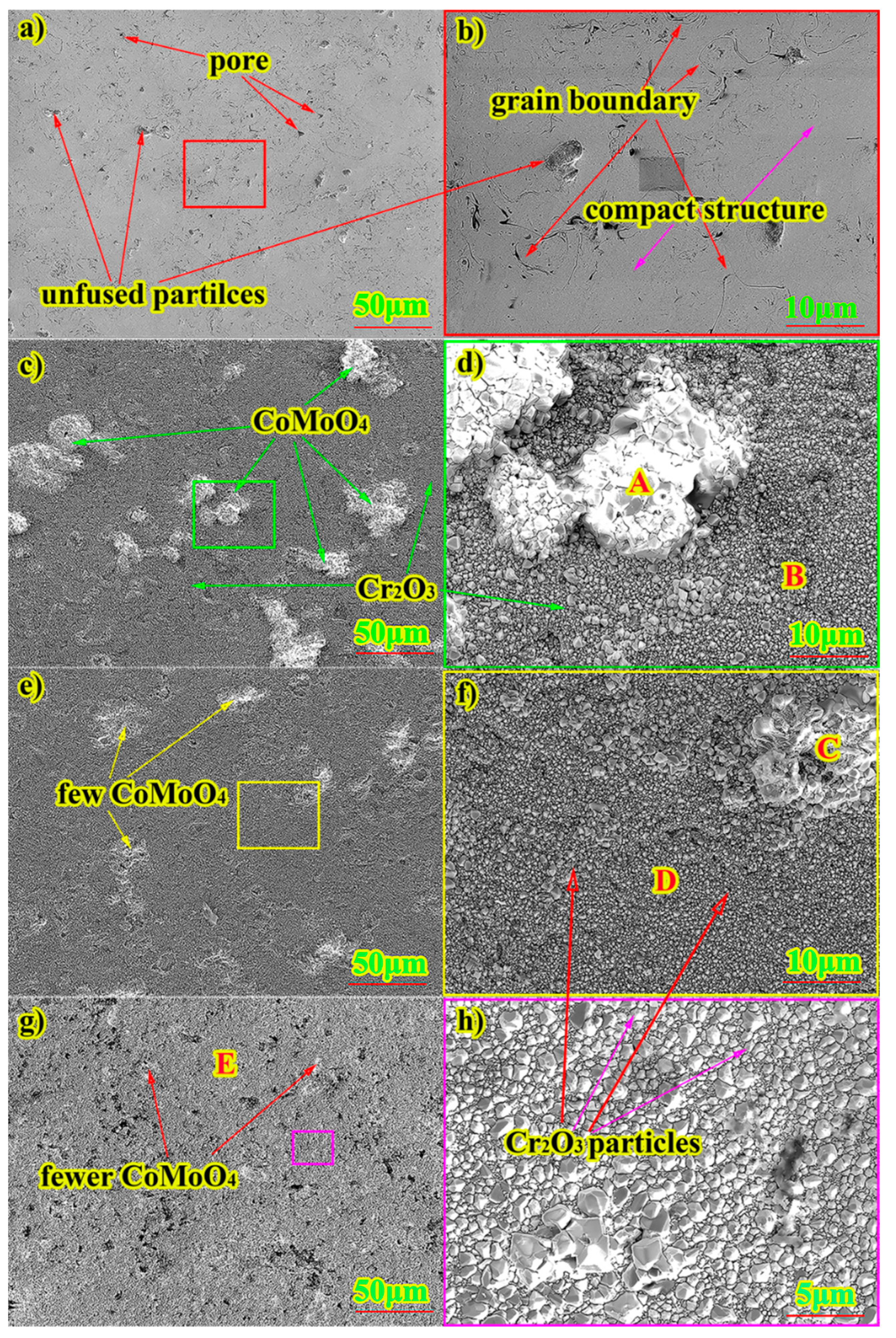 Coatings 11 00290 g003