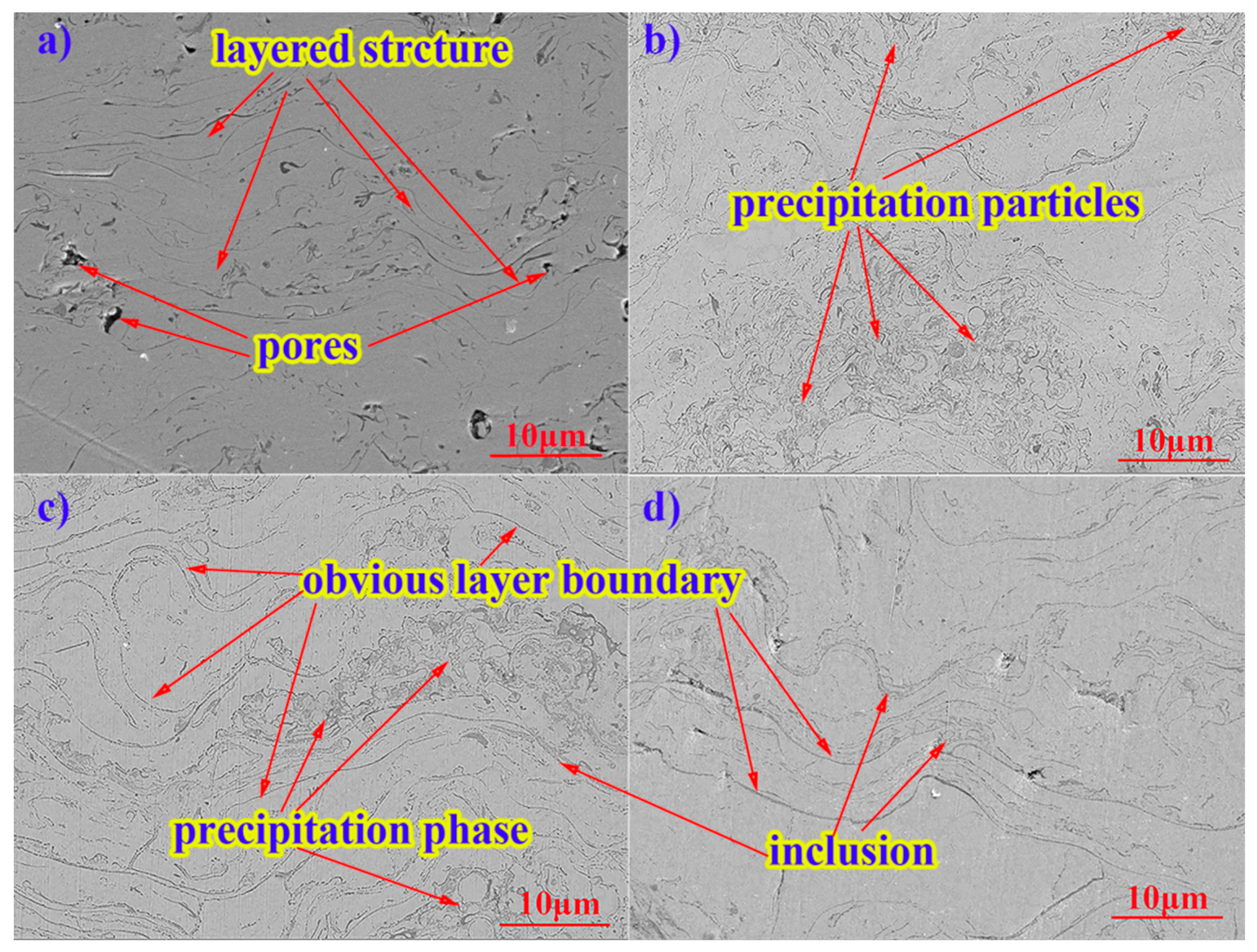 Coatings 11 00290 g004