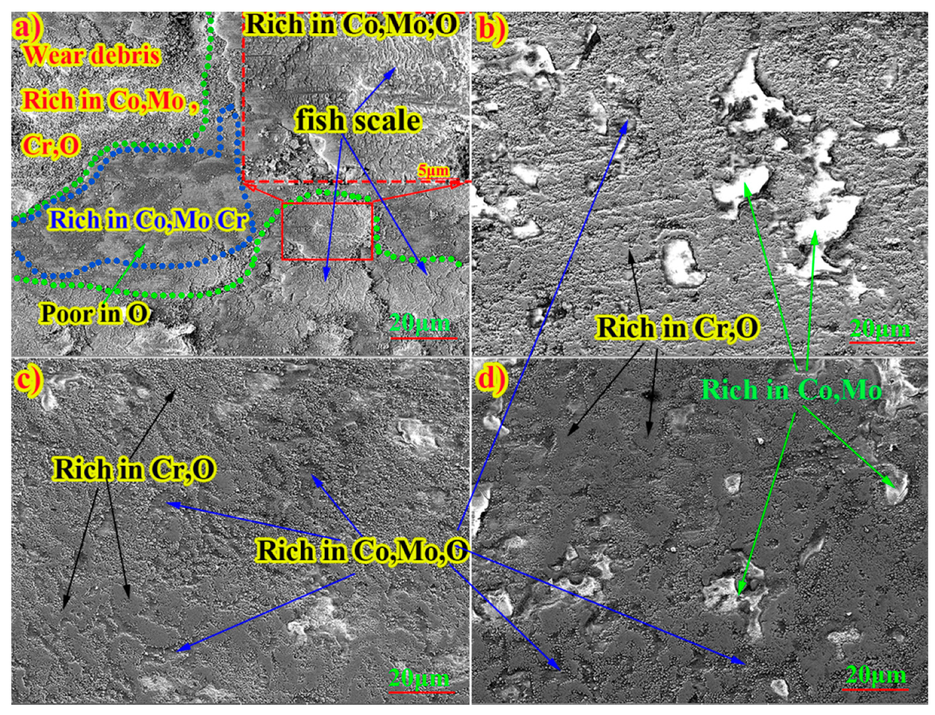 Coatings 11 00290 g013