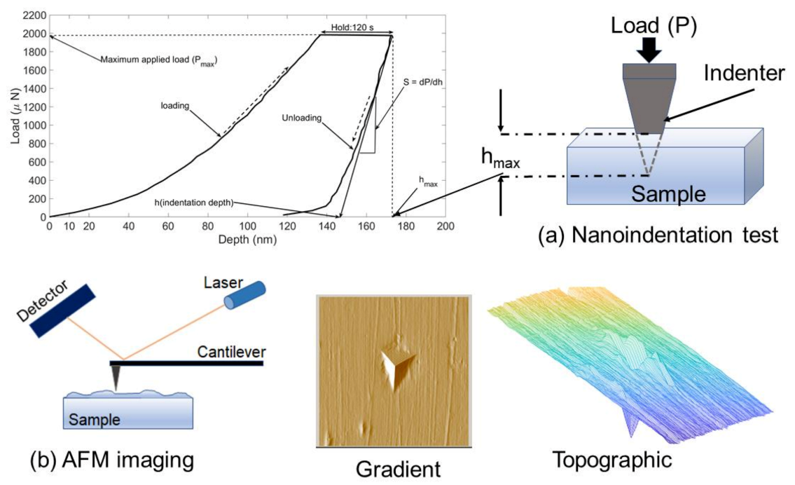 Coatings 11 00299 g001