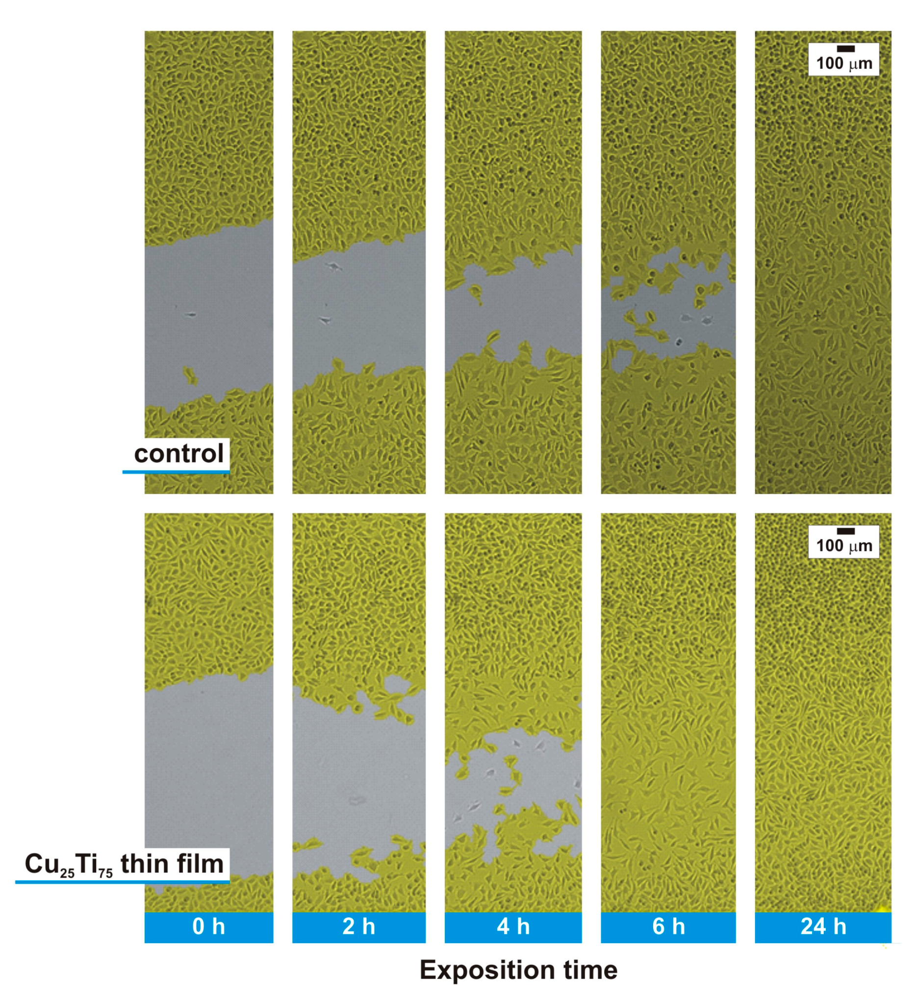 Coatings 11 00300 g006 Coatings 11 00300 g006