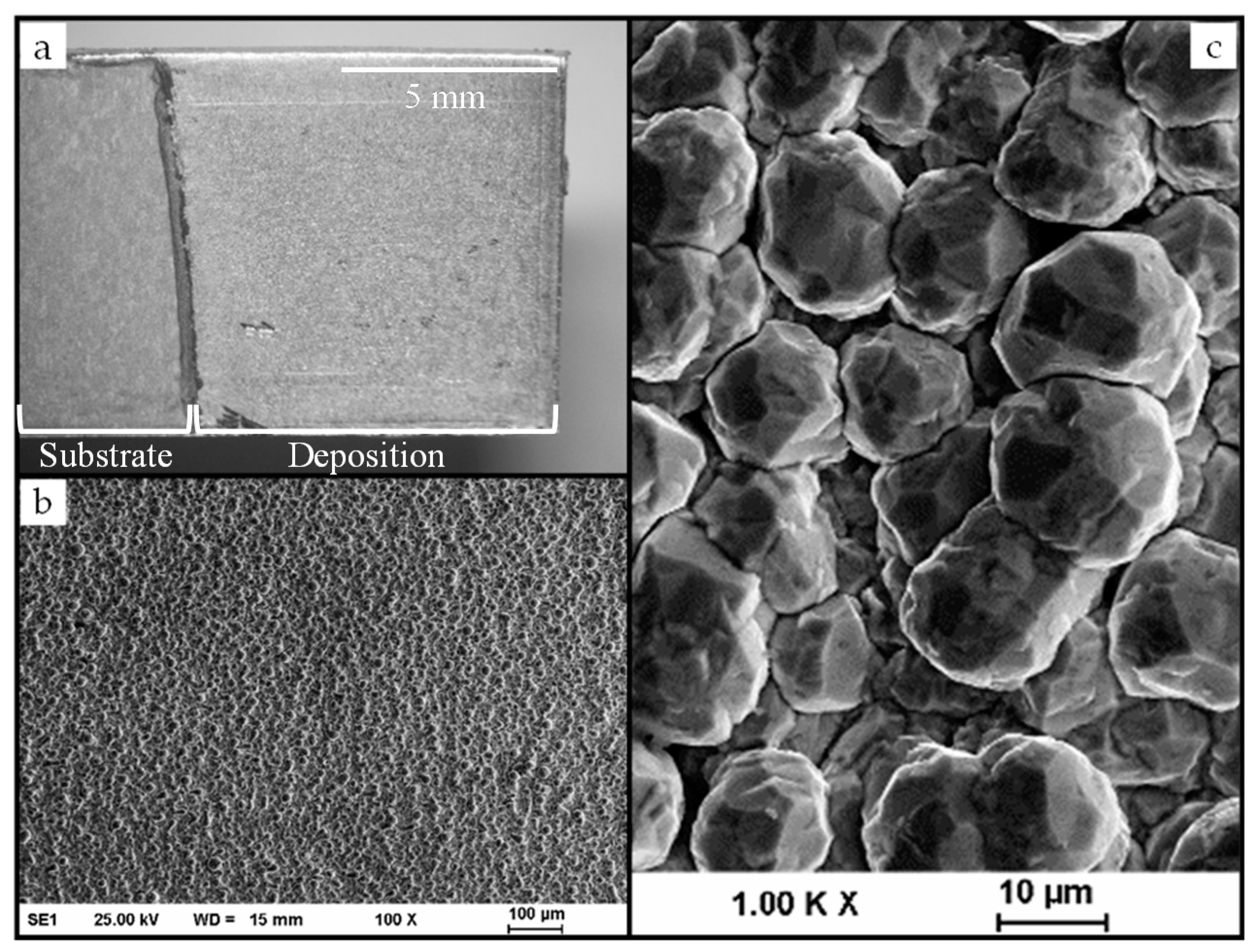 Coatings 11 00310 g003