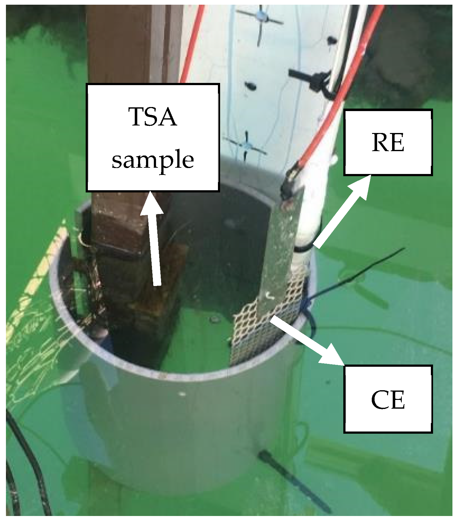 Coatings 11 00320 g002