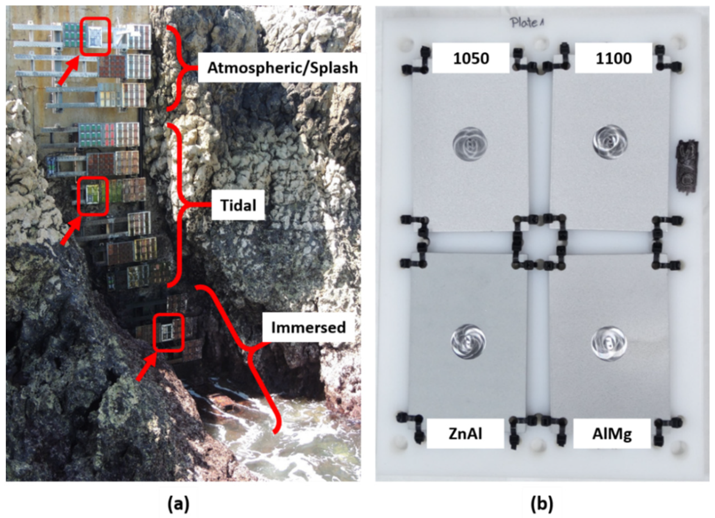 Coatings 11 00320 g003