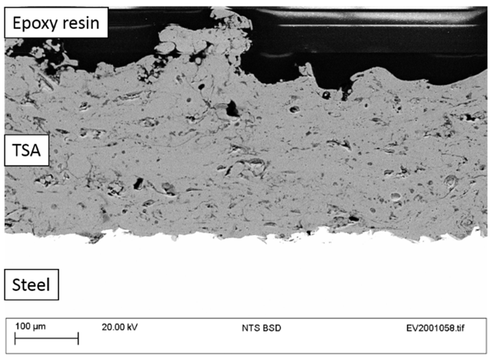 Coatings 11 00320 g012