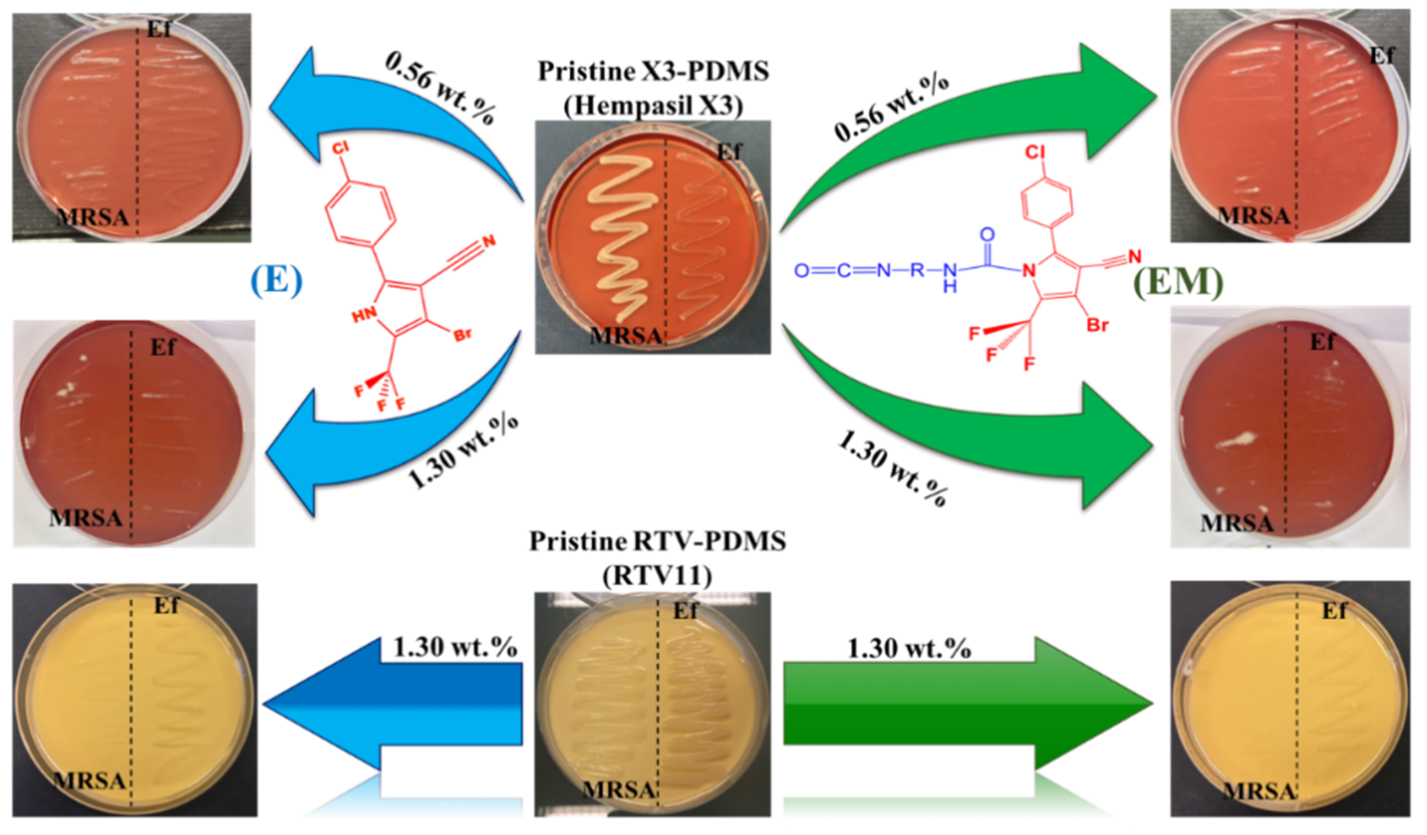 Coatings 11 00323 g002