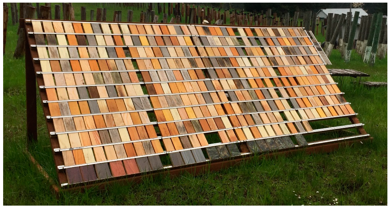 Coatings 11 00325 g001 Coatings 11 00325 g001