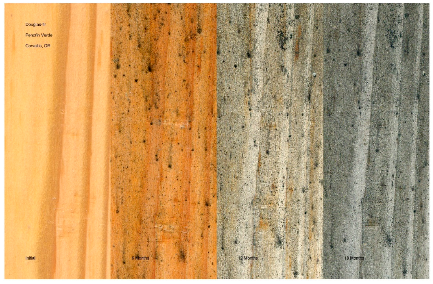 Coatings 11 00325 g005 Coatings 11 00325 g005