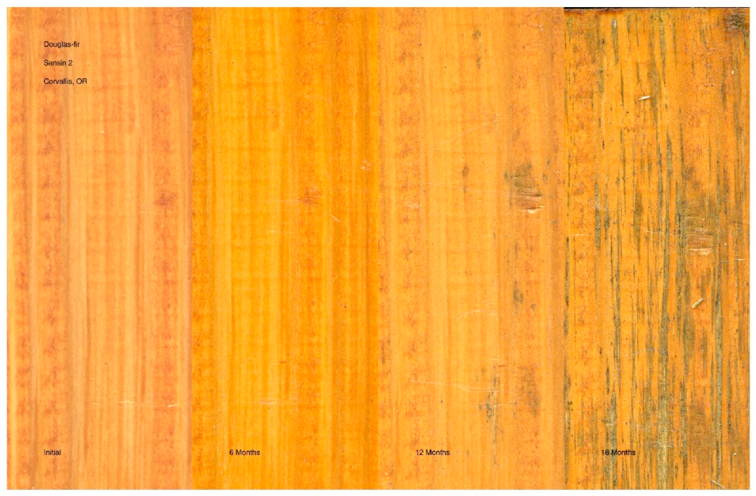 Coatings 11 00325 g006 Coatings 11 00325 g006