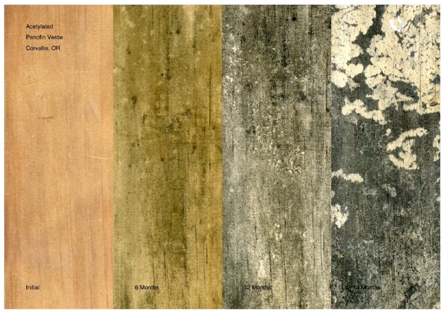 Coatings 11 00325 g009 Coatings 11 00325 g009