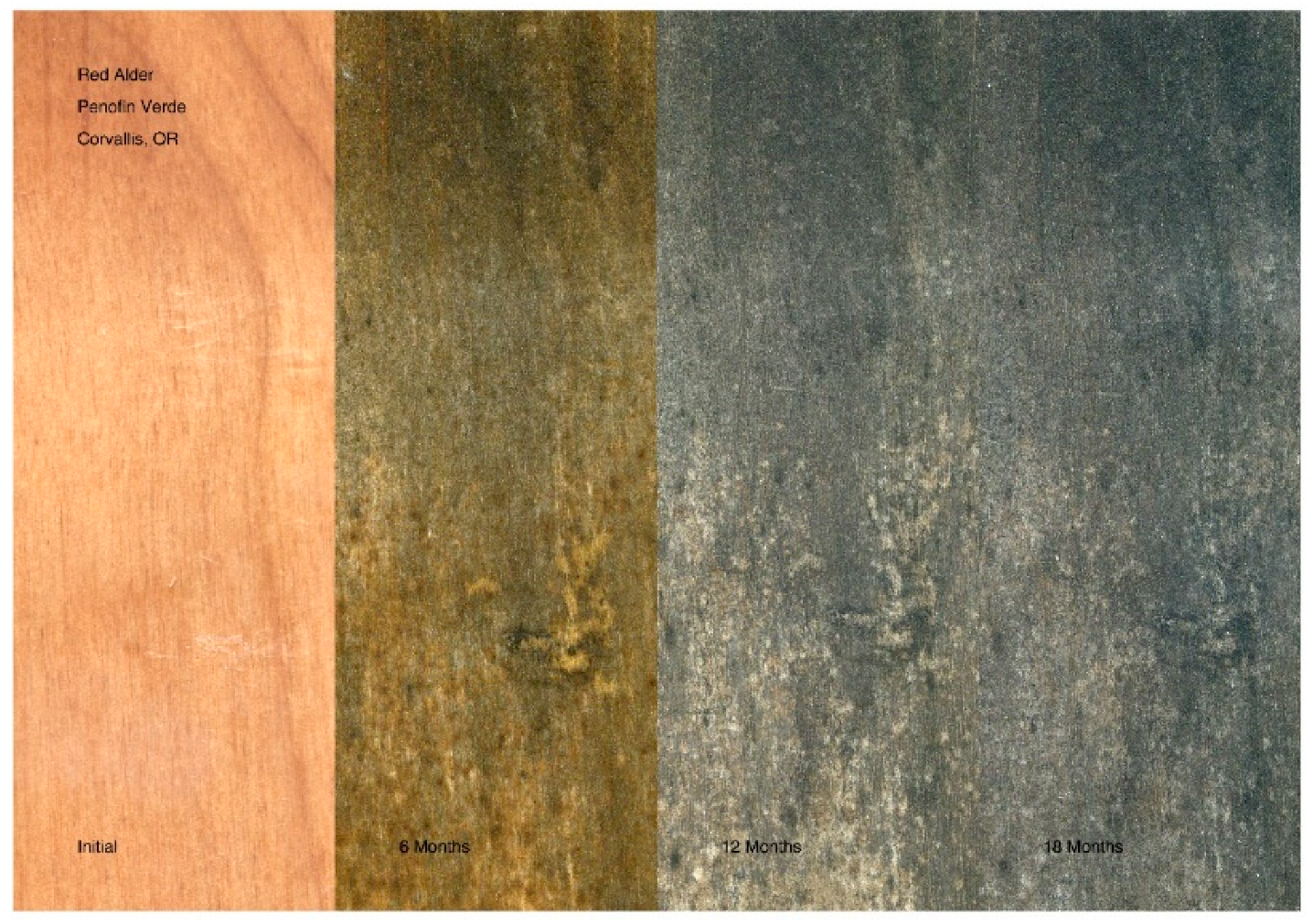 Coatings 11 00325 g013 Coatings 11 00325 g013