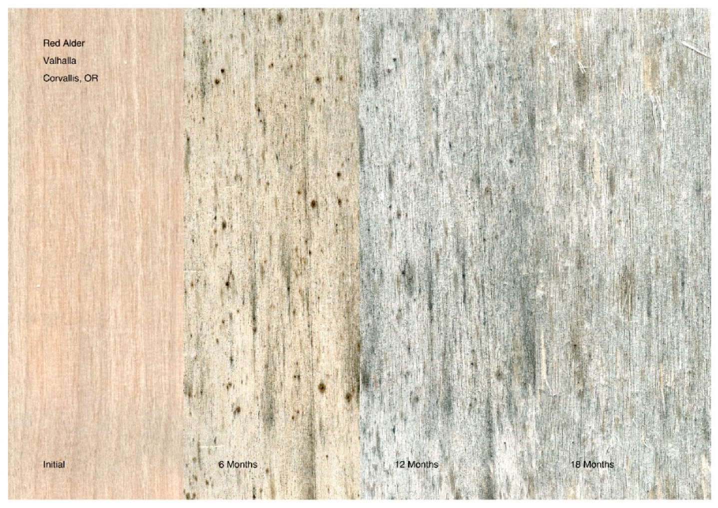 Coatings 11 00325 g014 Coatings 11 00325 g014