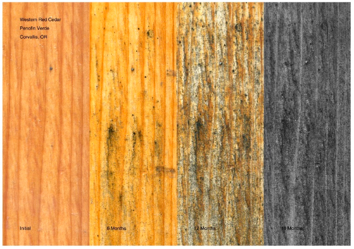 Coatings 11 00325 g017 Coatings 11 00325 g017