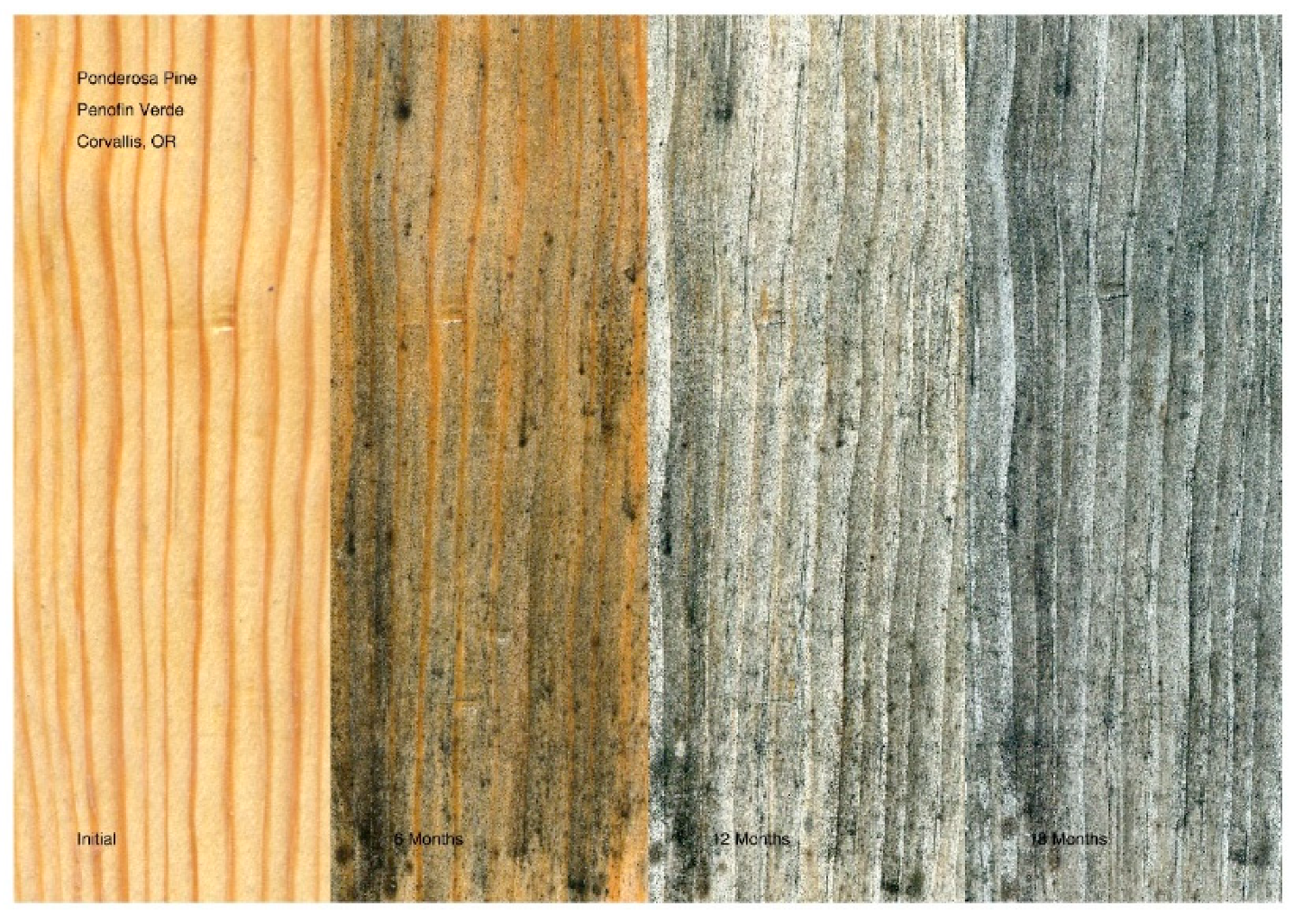 Coatings 11 00325 g021 Coatings 11 00325 g021