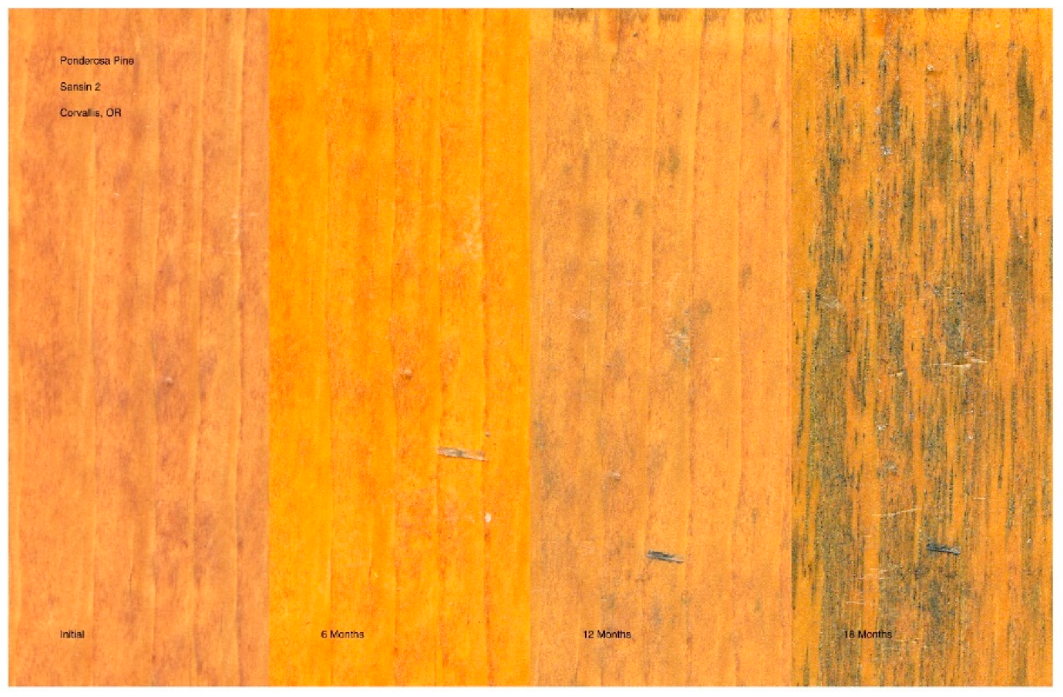 Coatings 11 00325 g022 Coatings 11 00325 g022