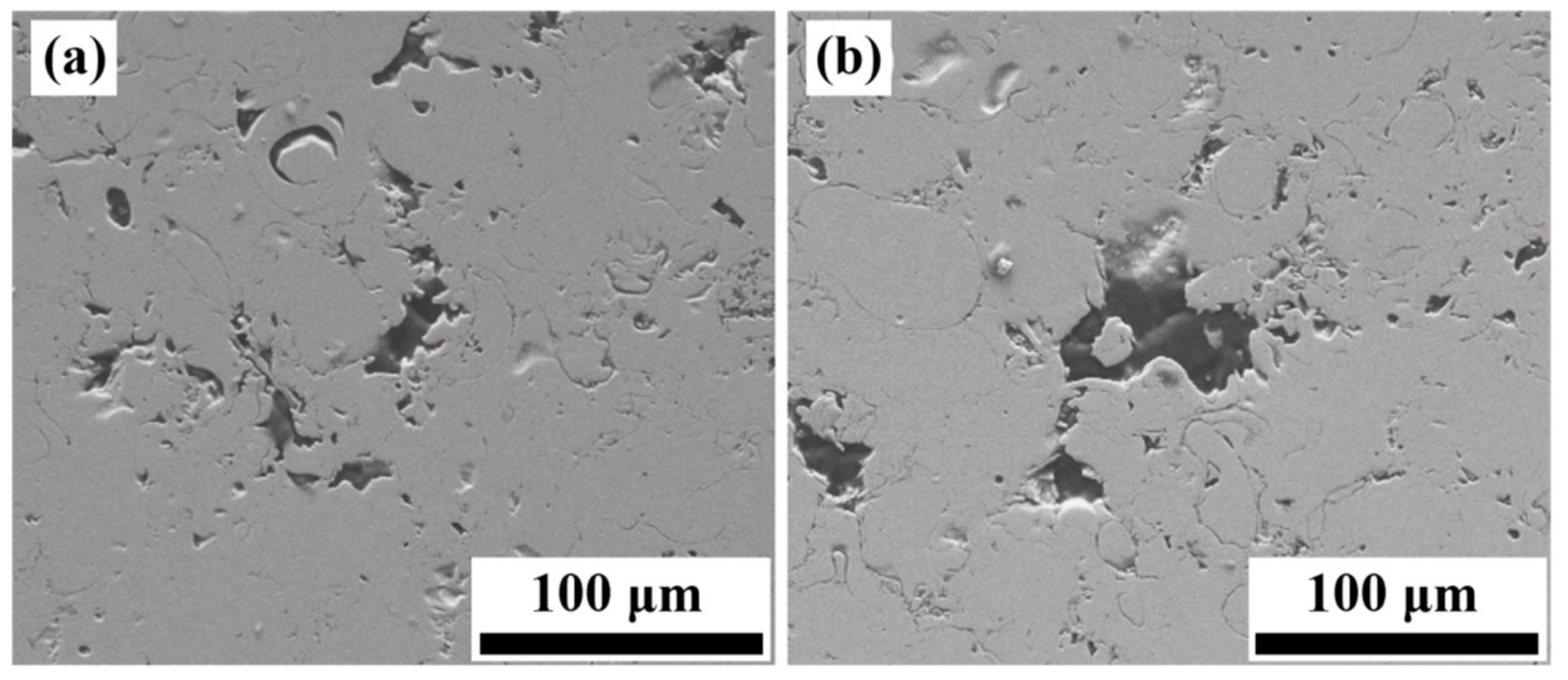 Coatings 11 00331 g007