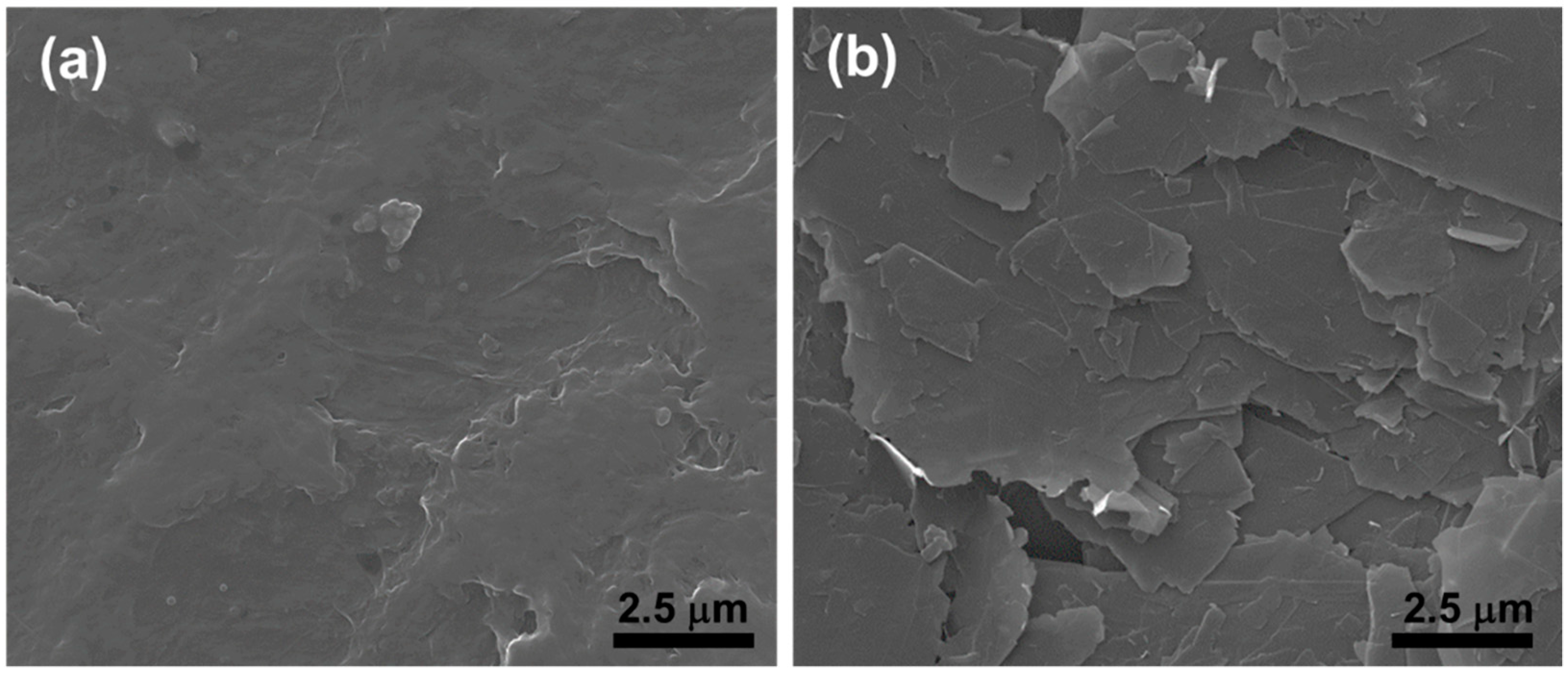 Coatings 11 00332 g001