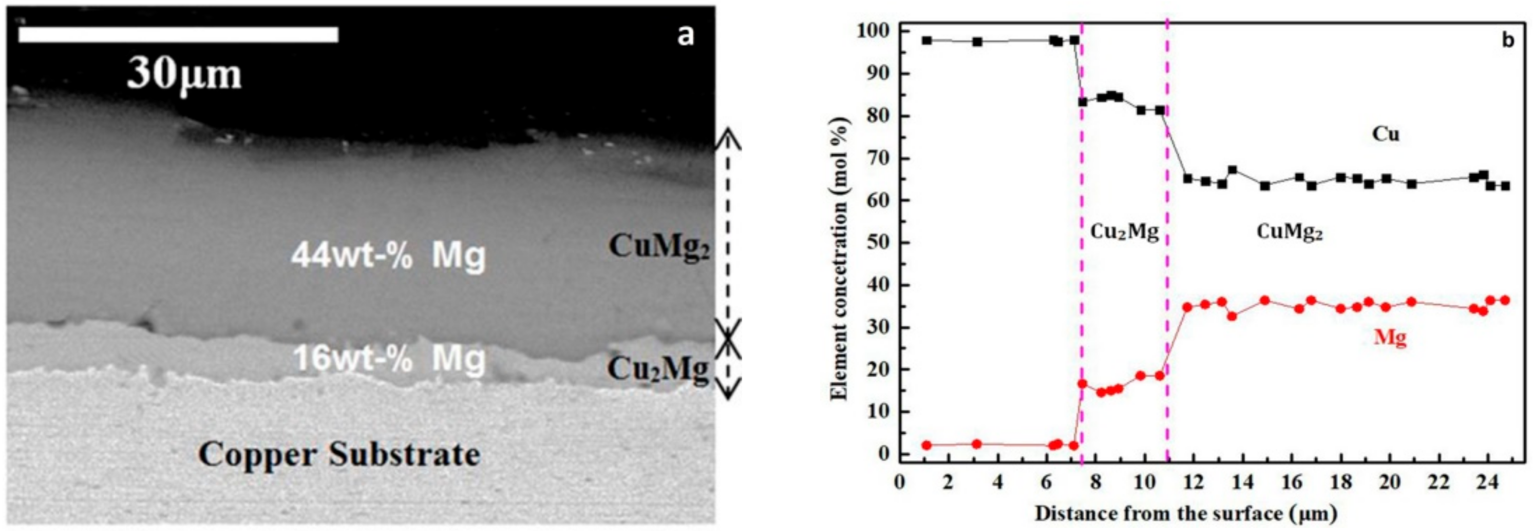 Coatings 11 00337 g001a