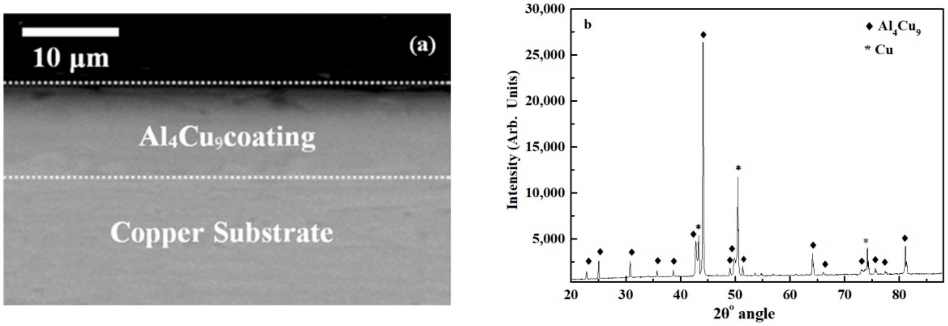 Coatings 11 00337 g002