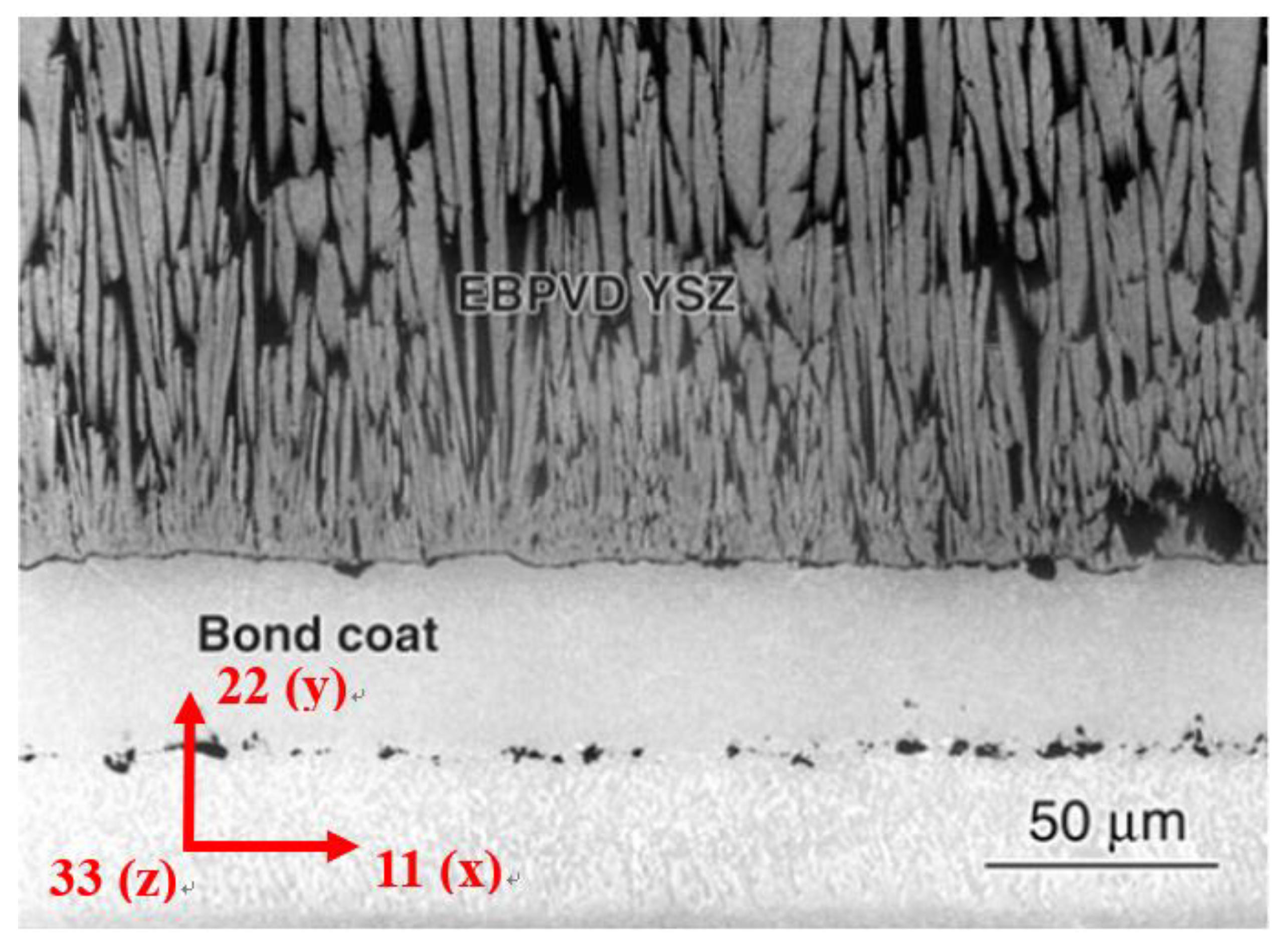Coatings 11 00341 g002 Coatings 11 00341 g002