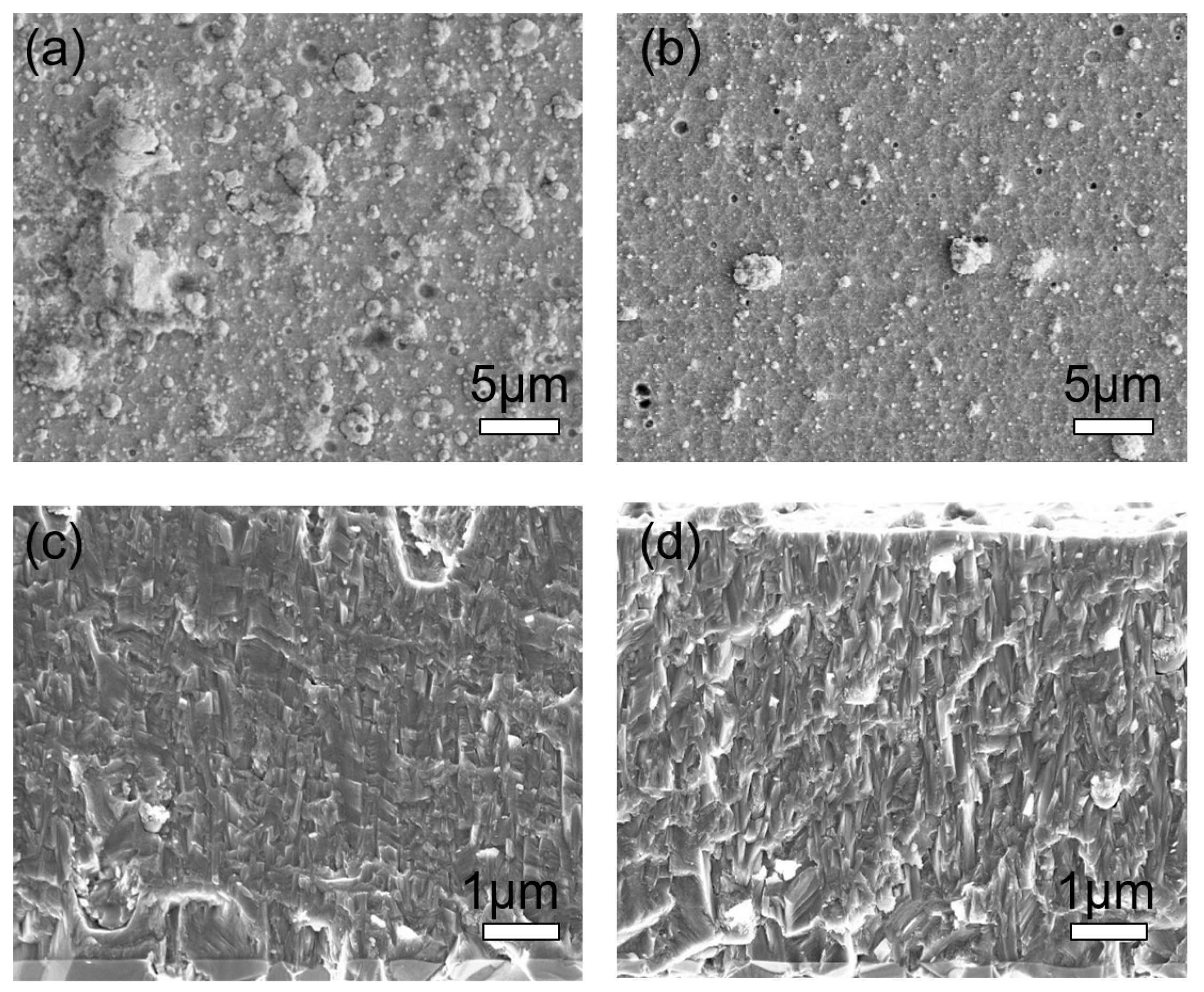 Coatings 11 00344 g017