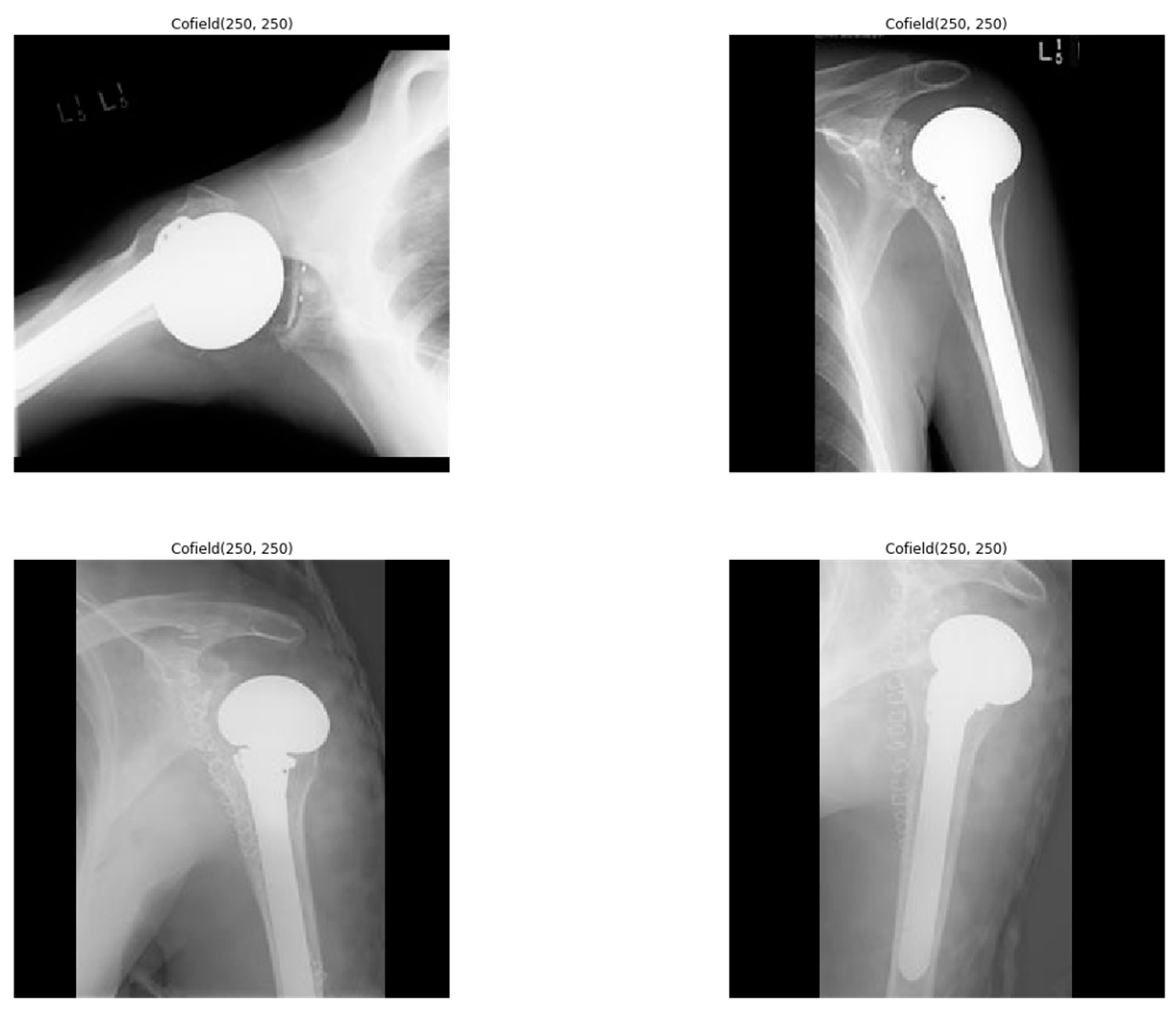 Coatings 11 00346 g002