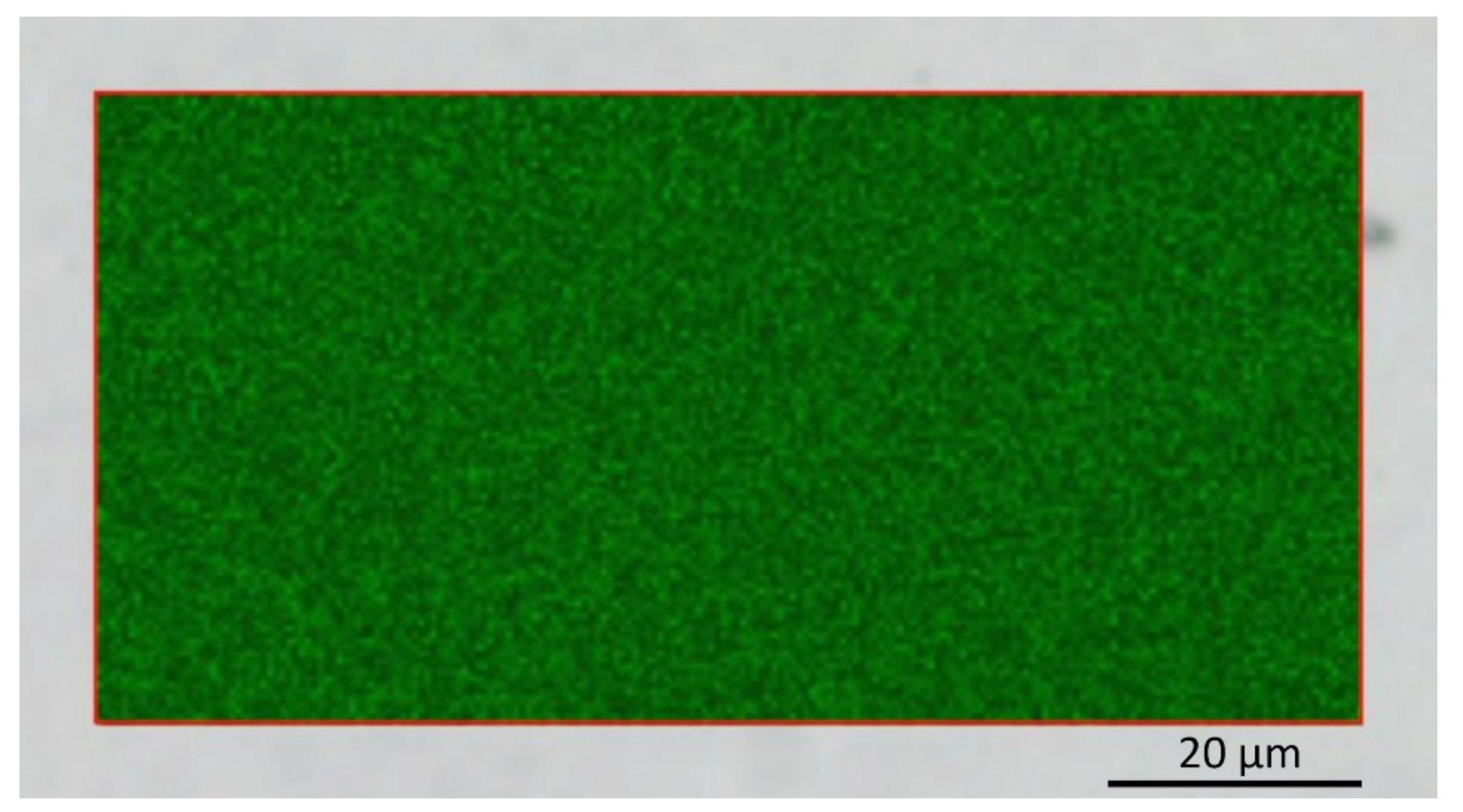 Coatings 11 00347 g005