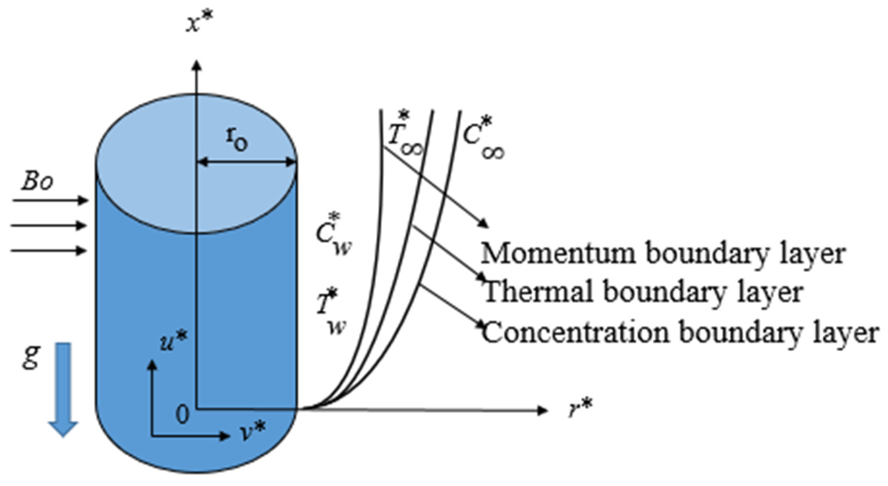 Coatings 11 00353 g001