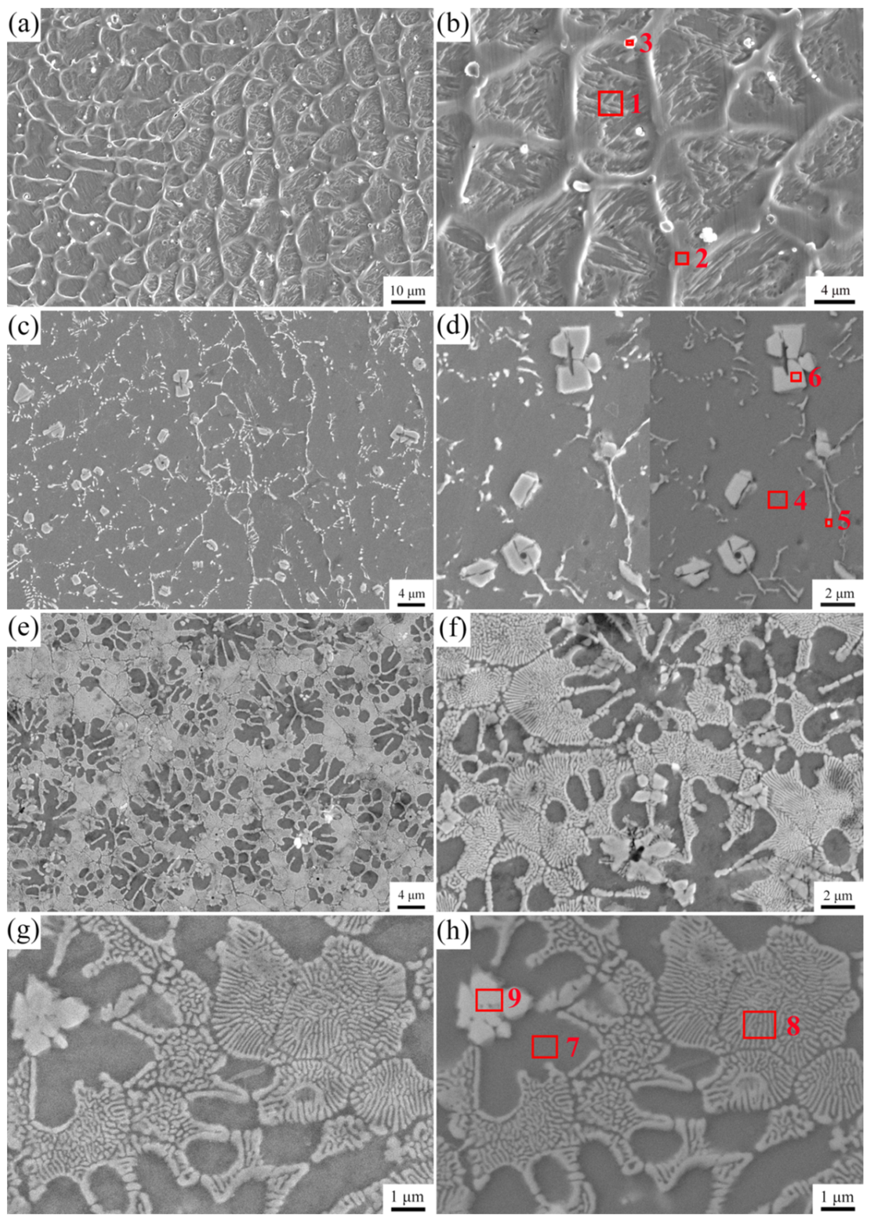 Coatings 11 00358 g003 Coatings 11 00358 g003