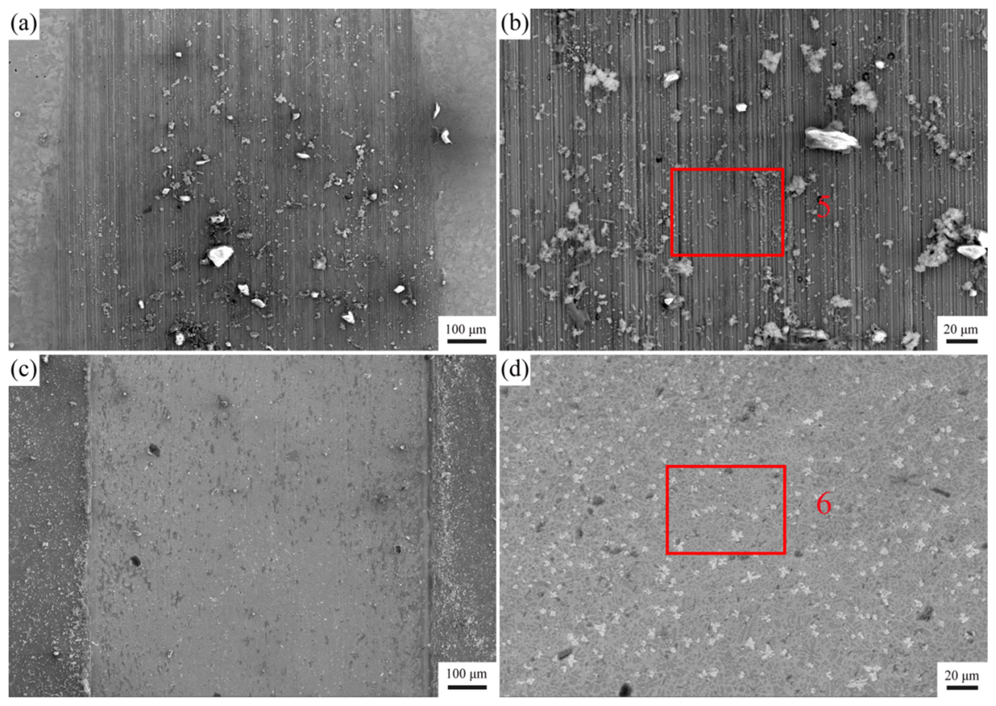 Coatings 11 00358 g011 Coatings 11 00358 g011