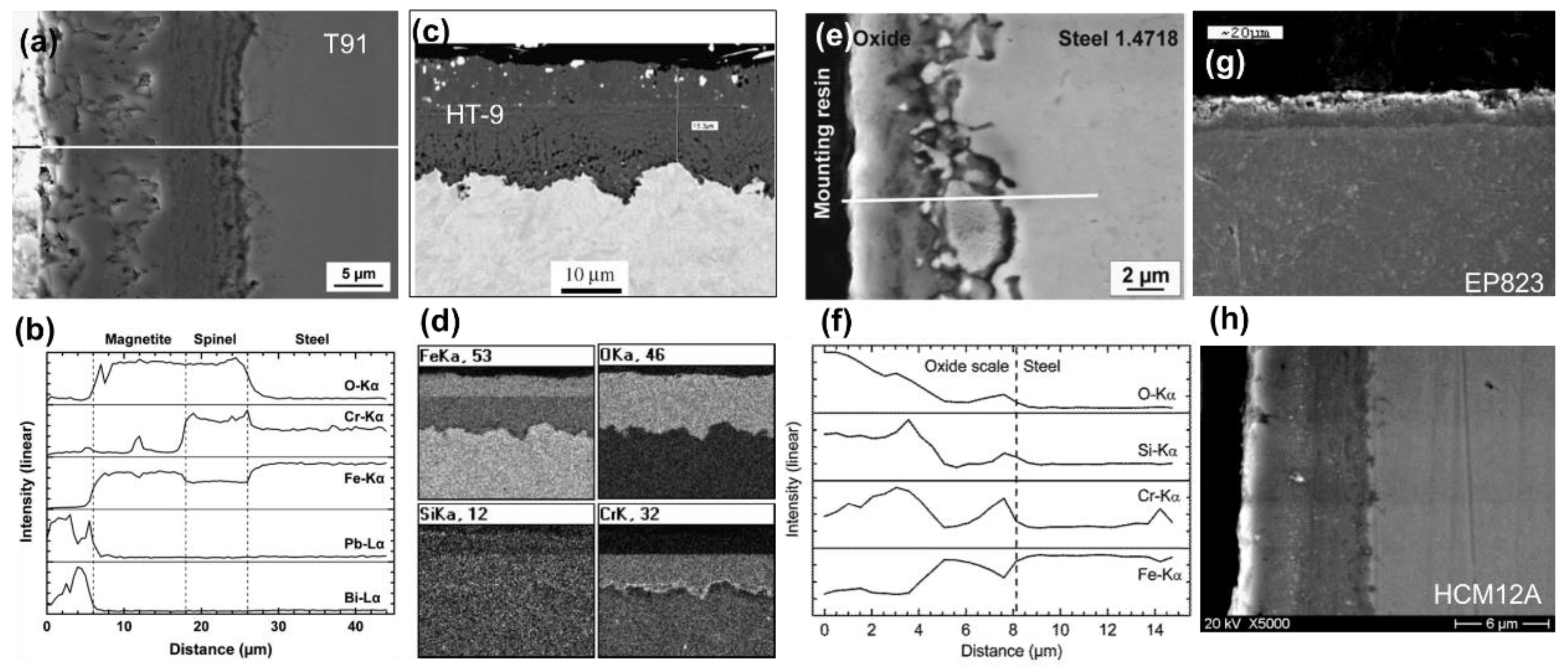 Coatings 11 00364 g001