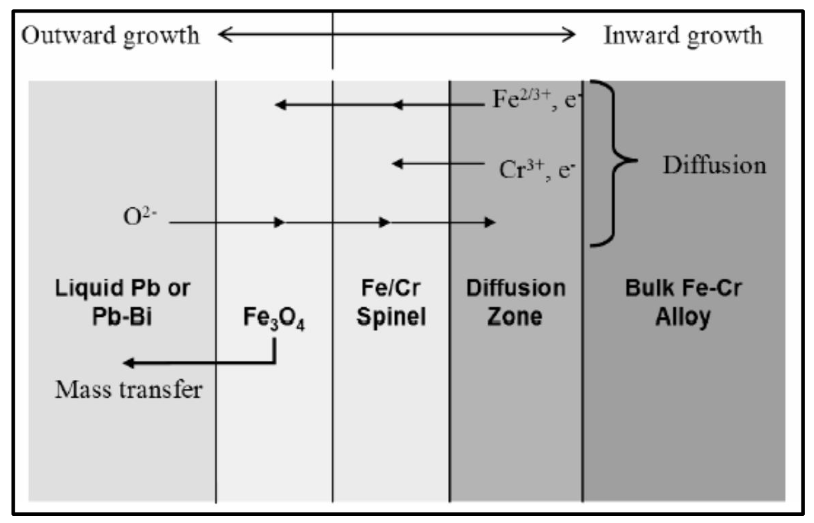 Coatings 11 00364 g002