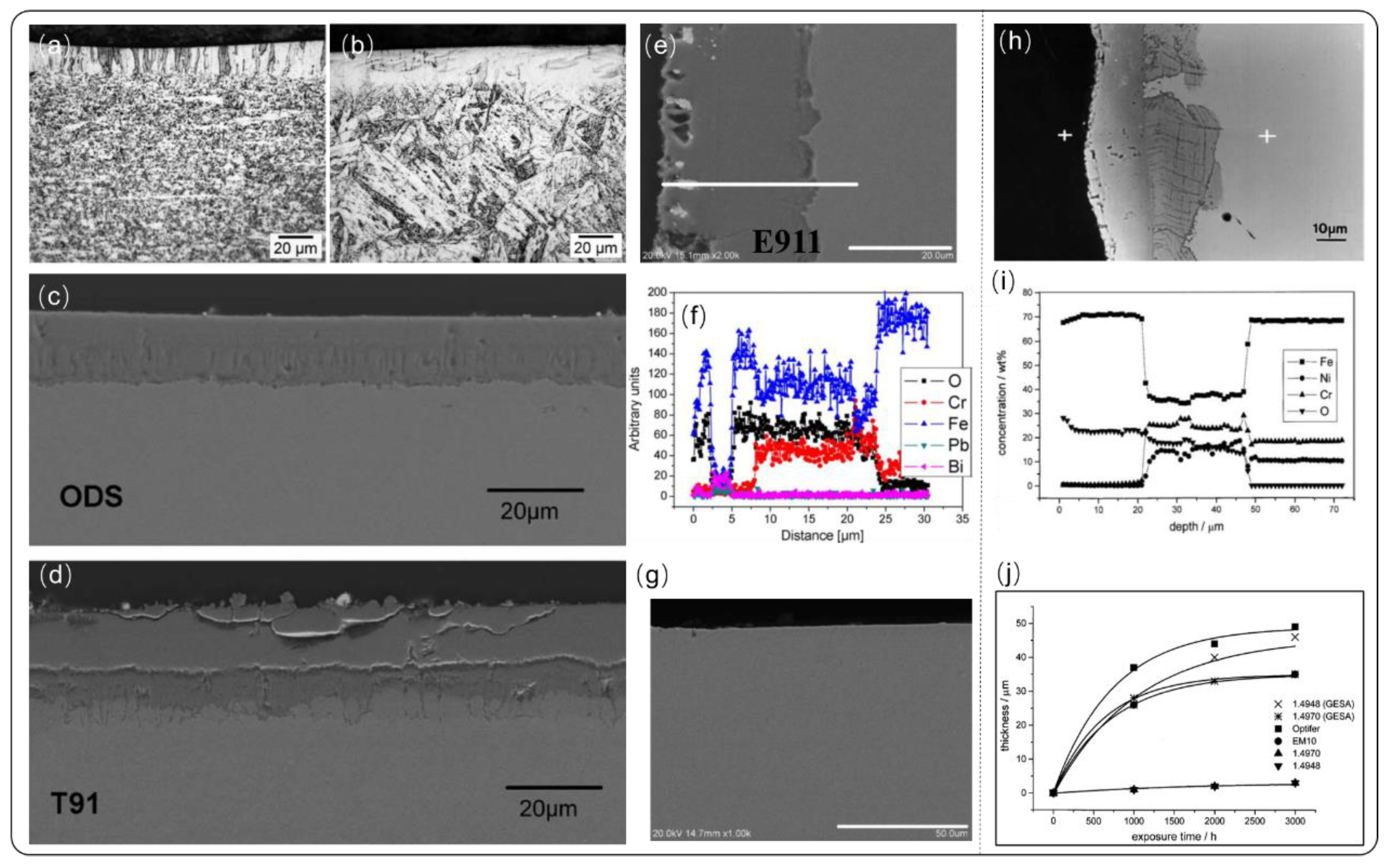 Coatings 11 00364 g003
